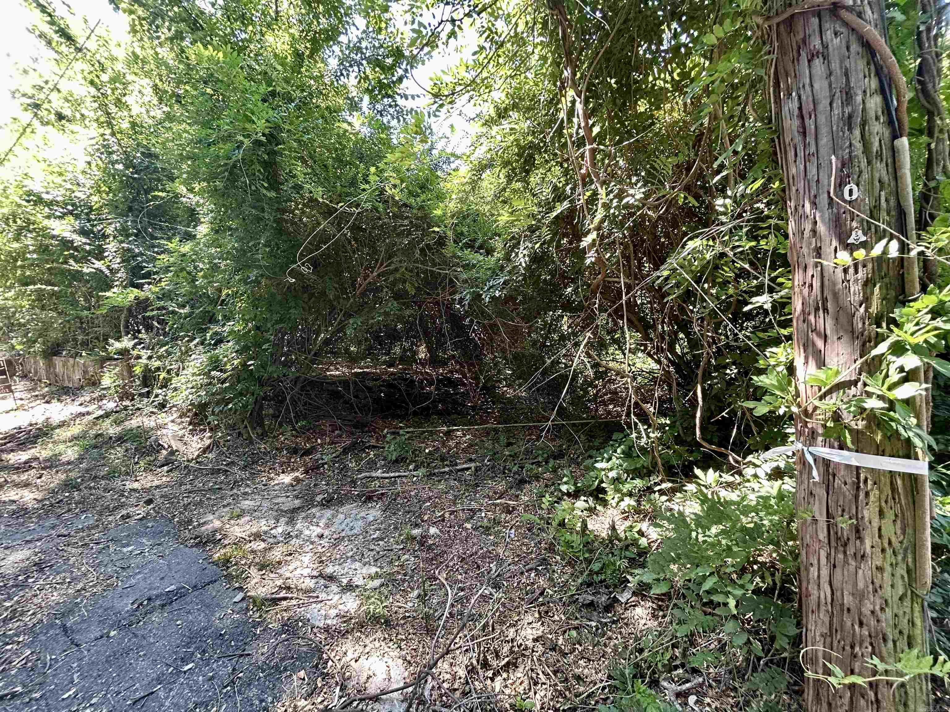 Lot 12 Wahoo  Hot Springs, AR