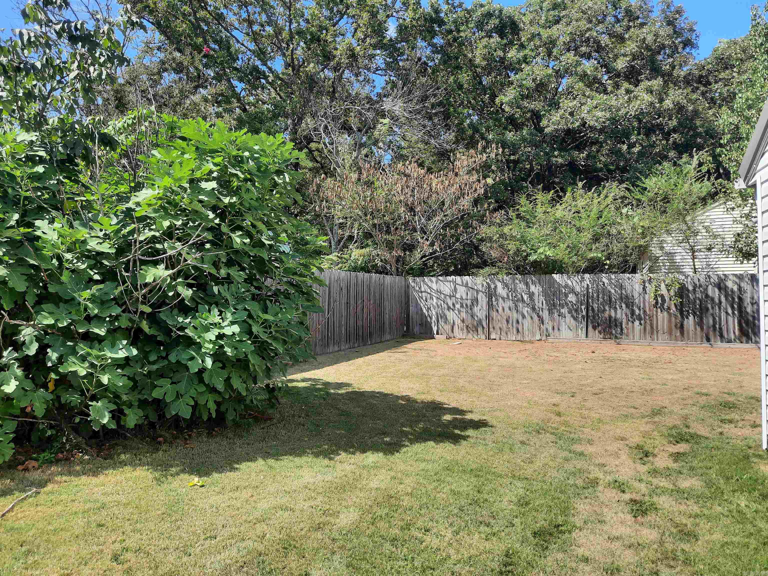 701 Clarence  Mountain View, AR