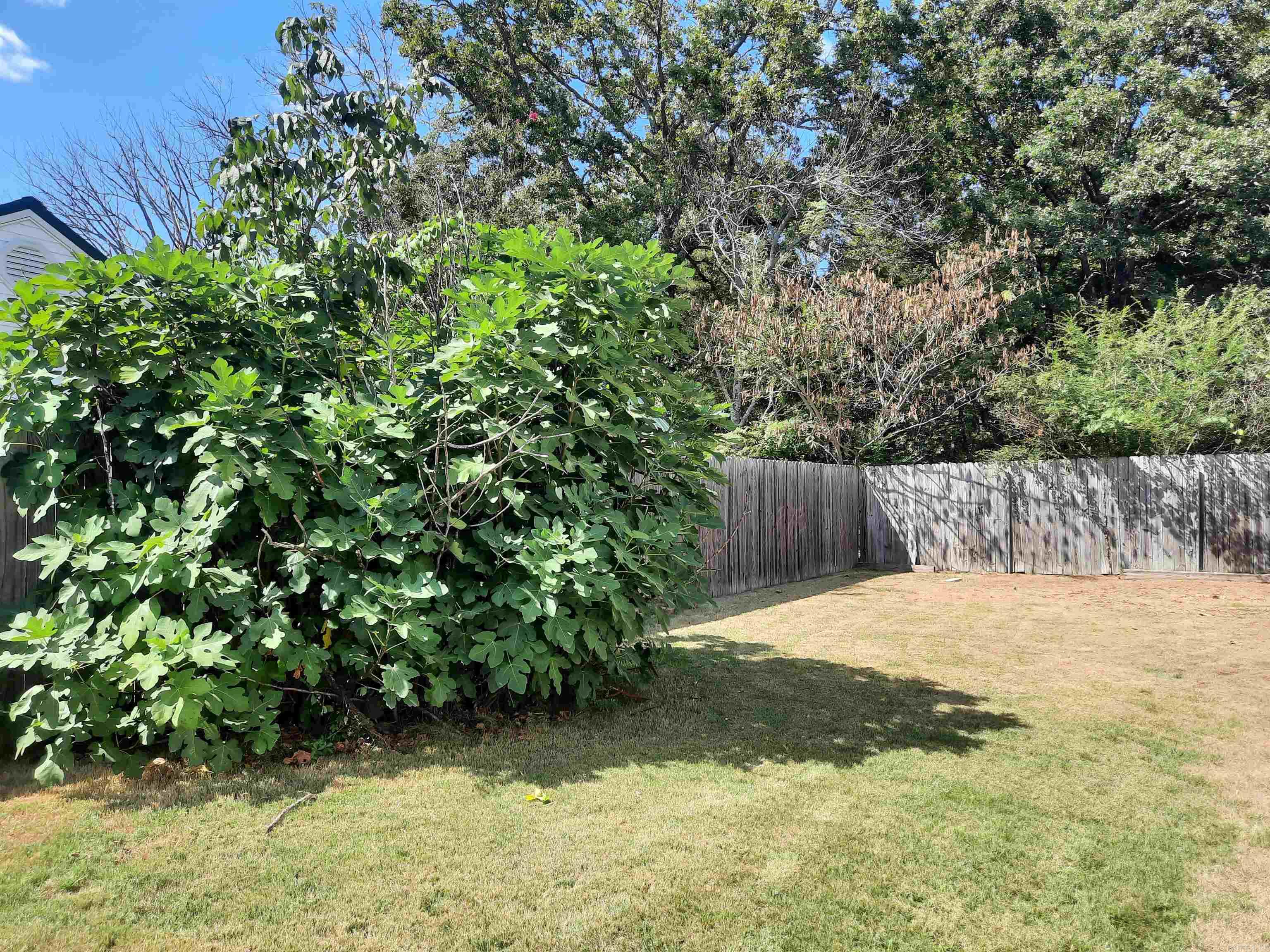 701 Clarence  Mountain View, AR