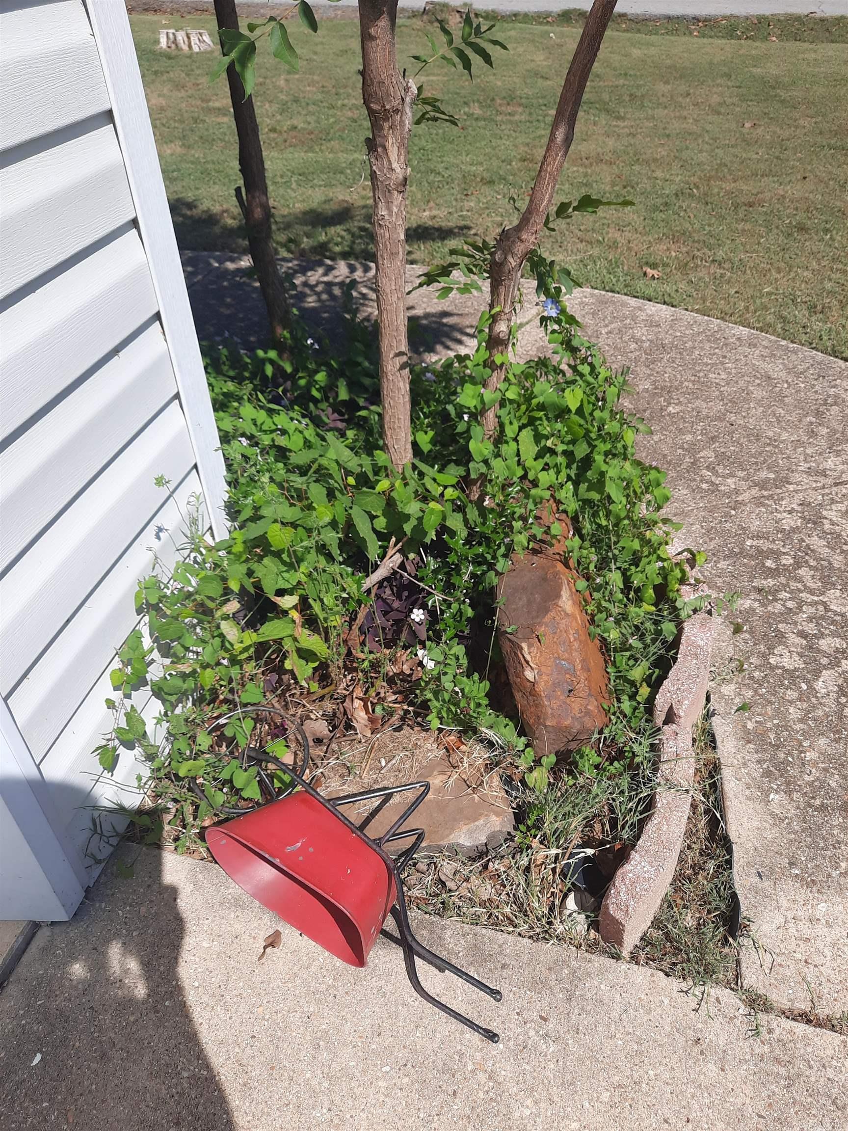 701 Clarence  Mountain View, AR