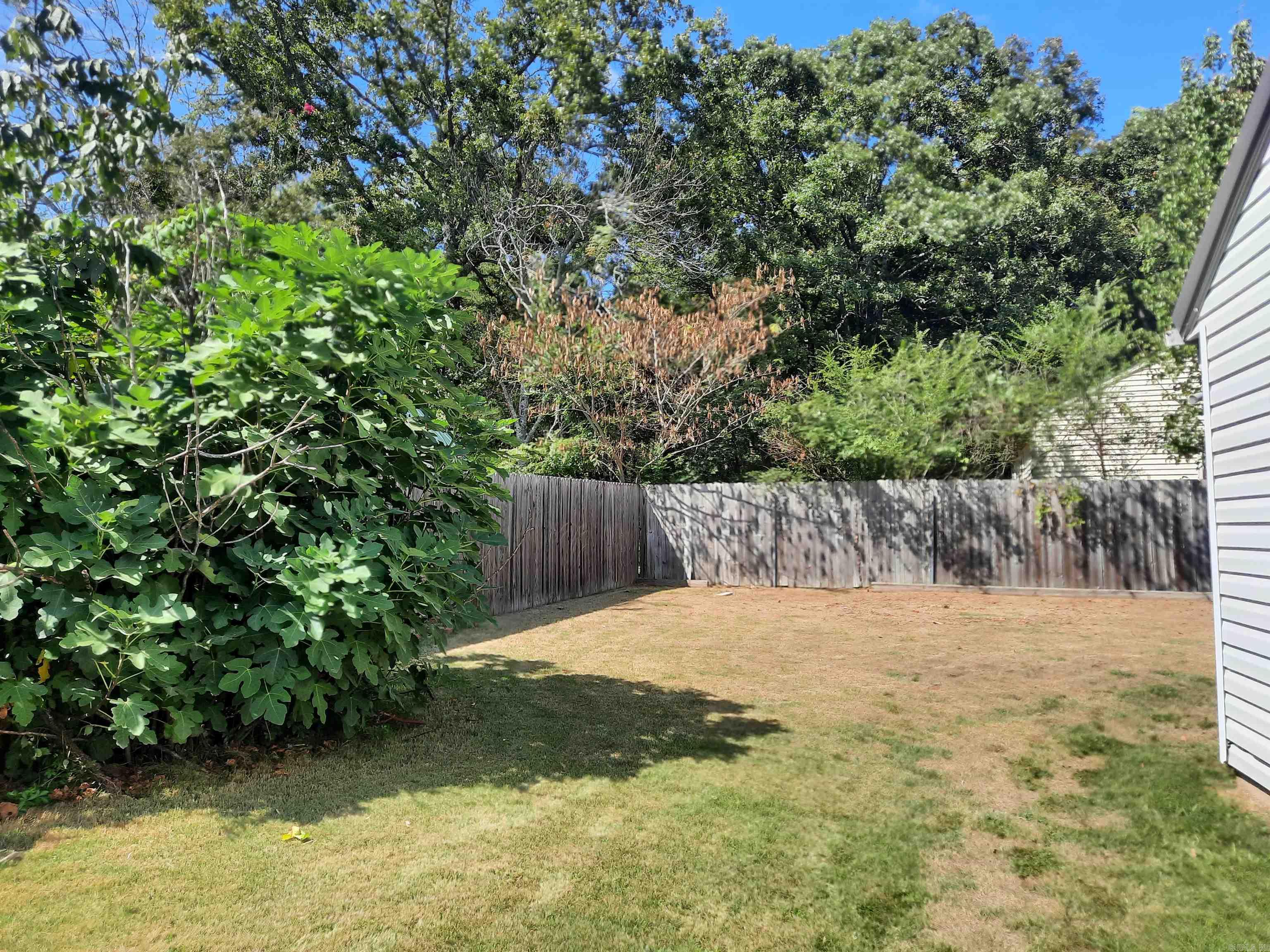 701 Clarence  Mountain View, AR