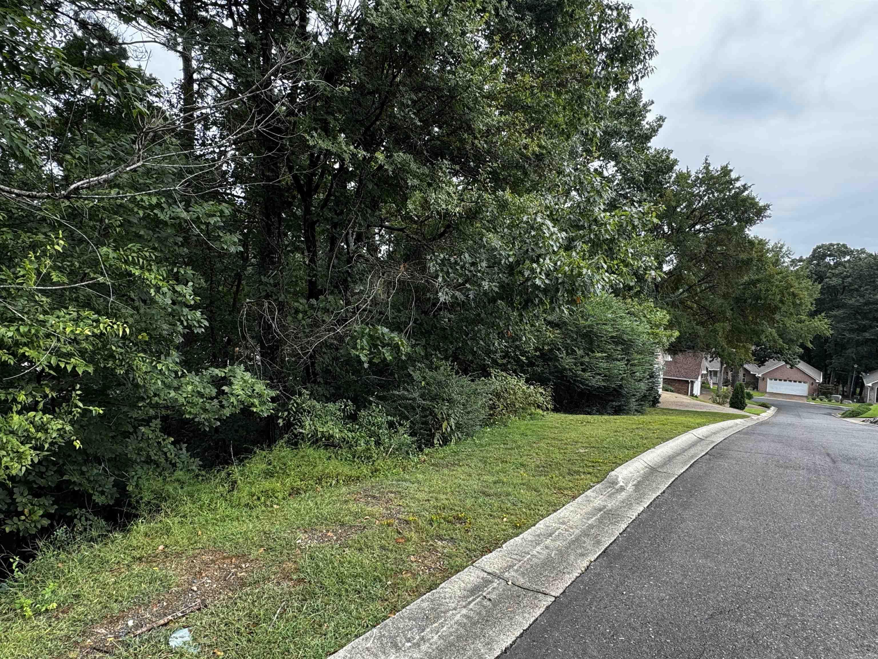 Lot 28 Forest View  Hot Springs, AR