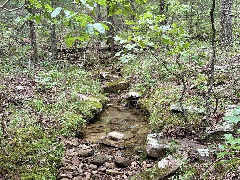 1499 Sutterfield  Fox, AR