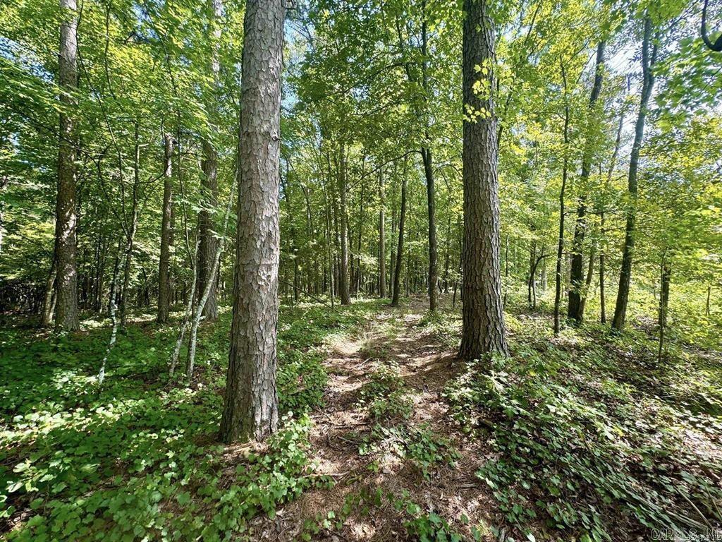 1499 Sutterfield  Fox, AR