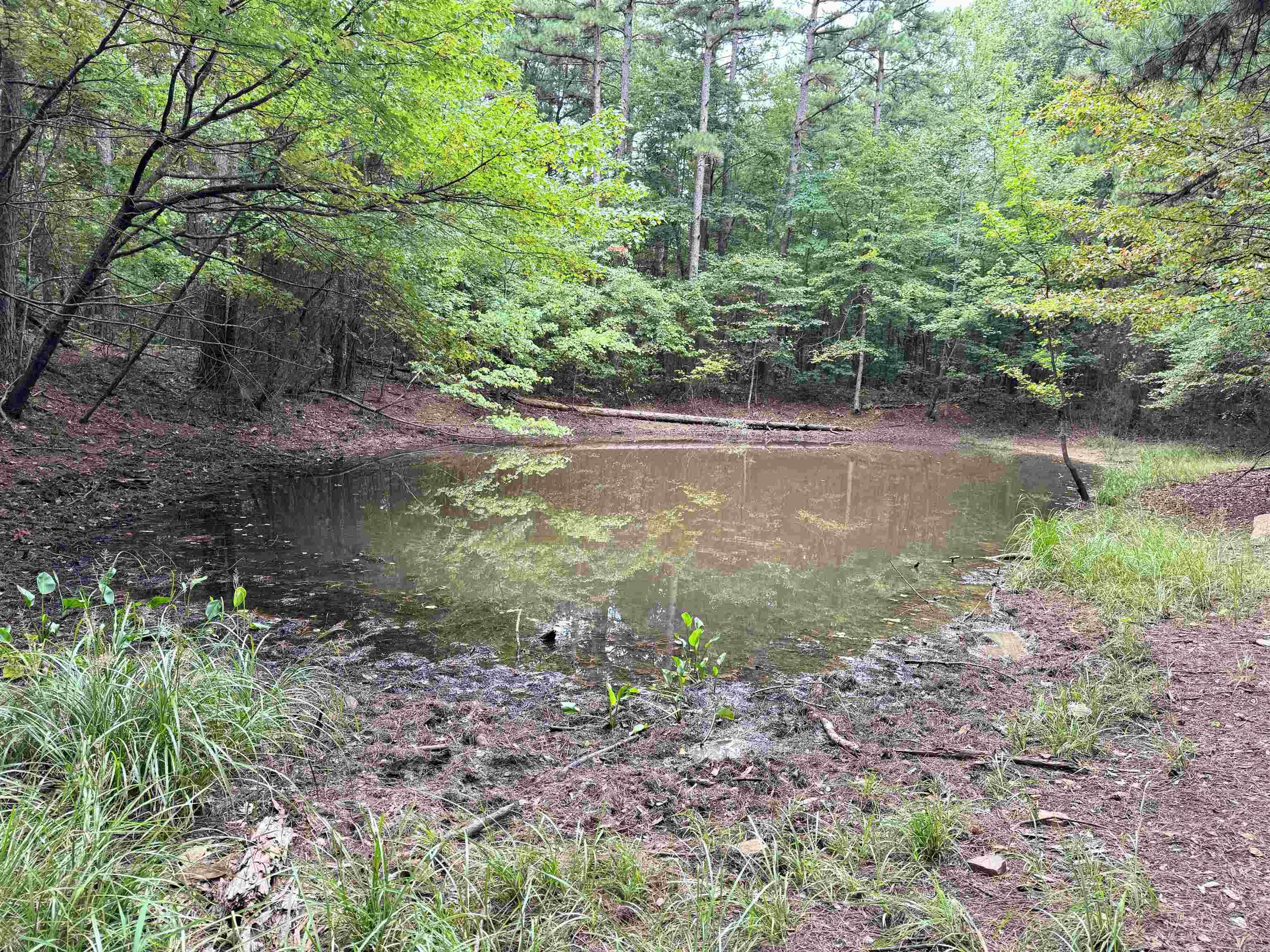 1499 Sutterfield  Fox, AR