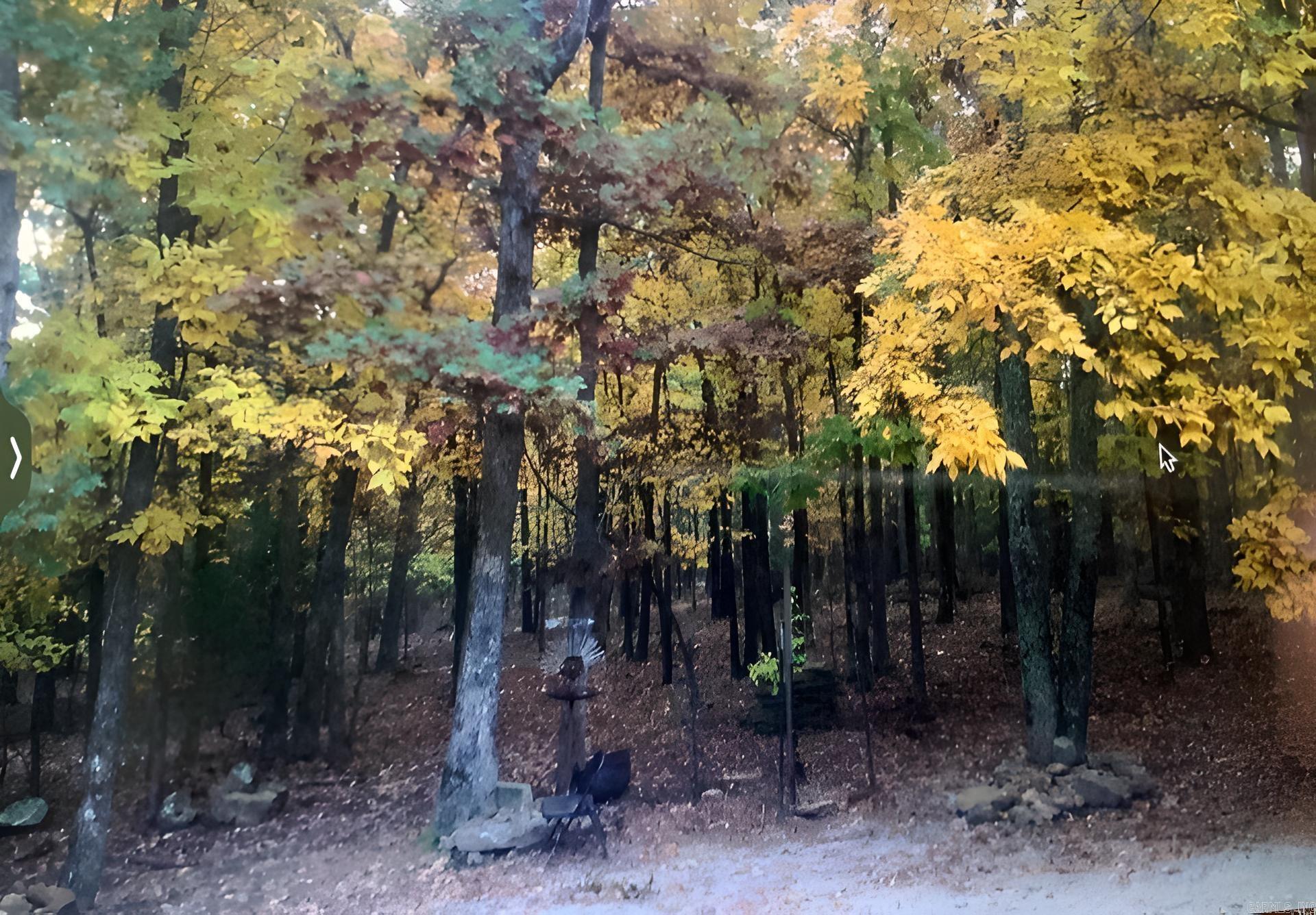 1499 Sutterfield  Fox, AR