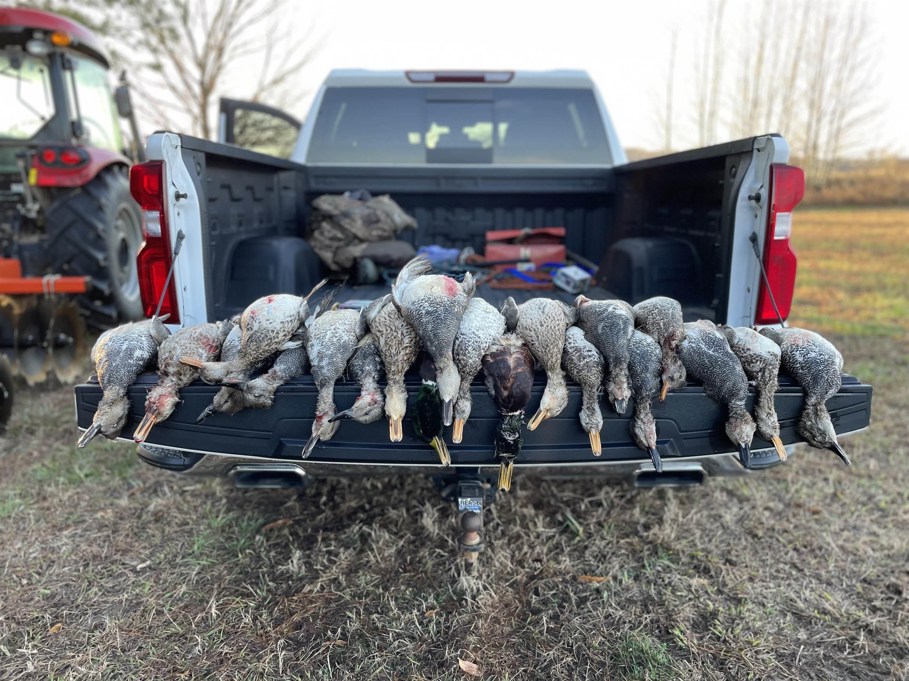1206 Northcutt  Lonoke, AR