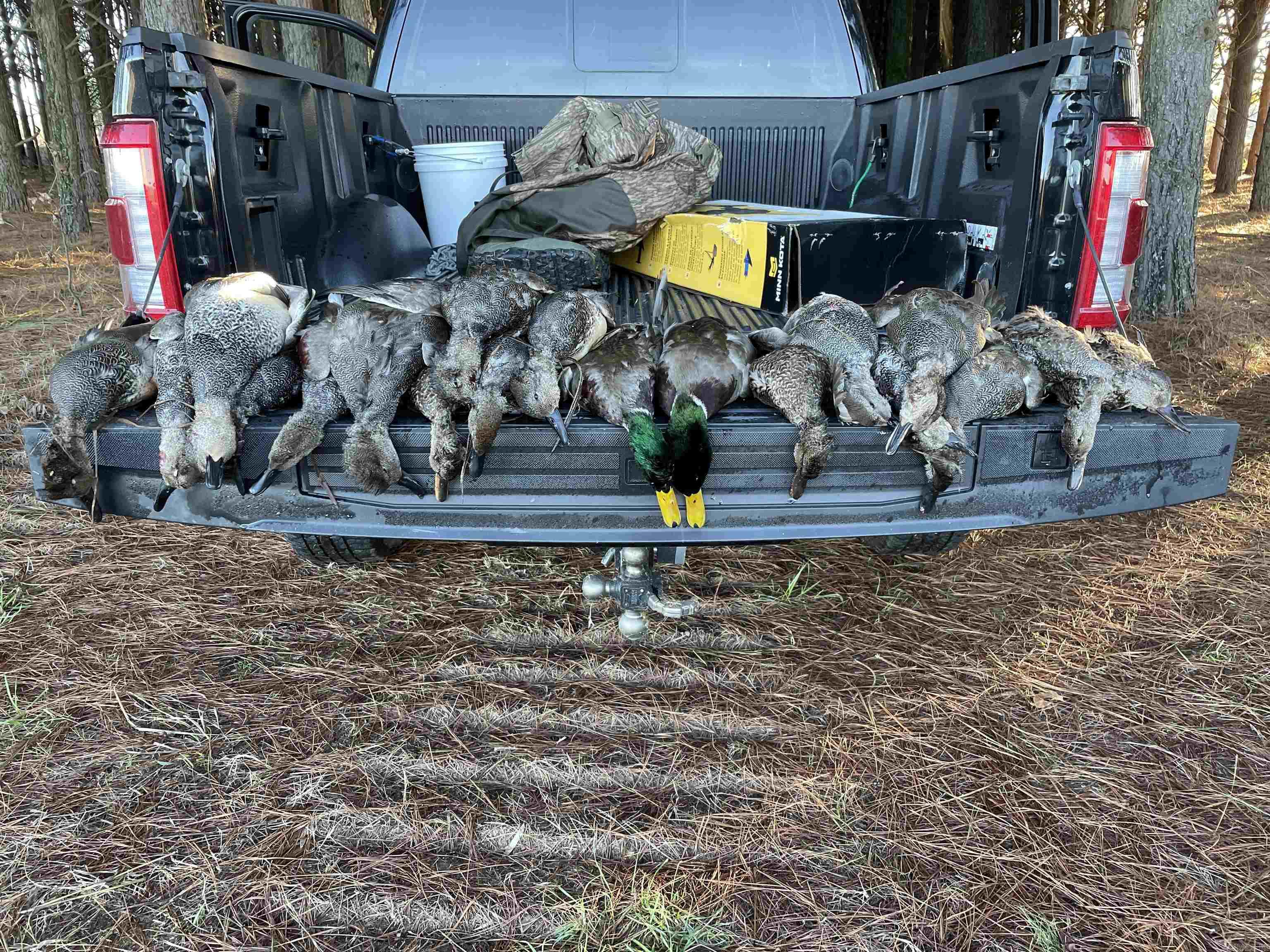 1206 Northcutt  Lonoke, AR