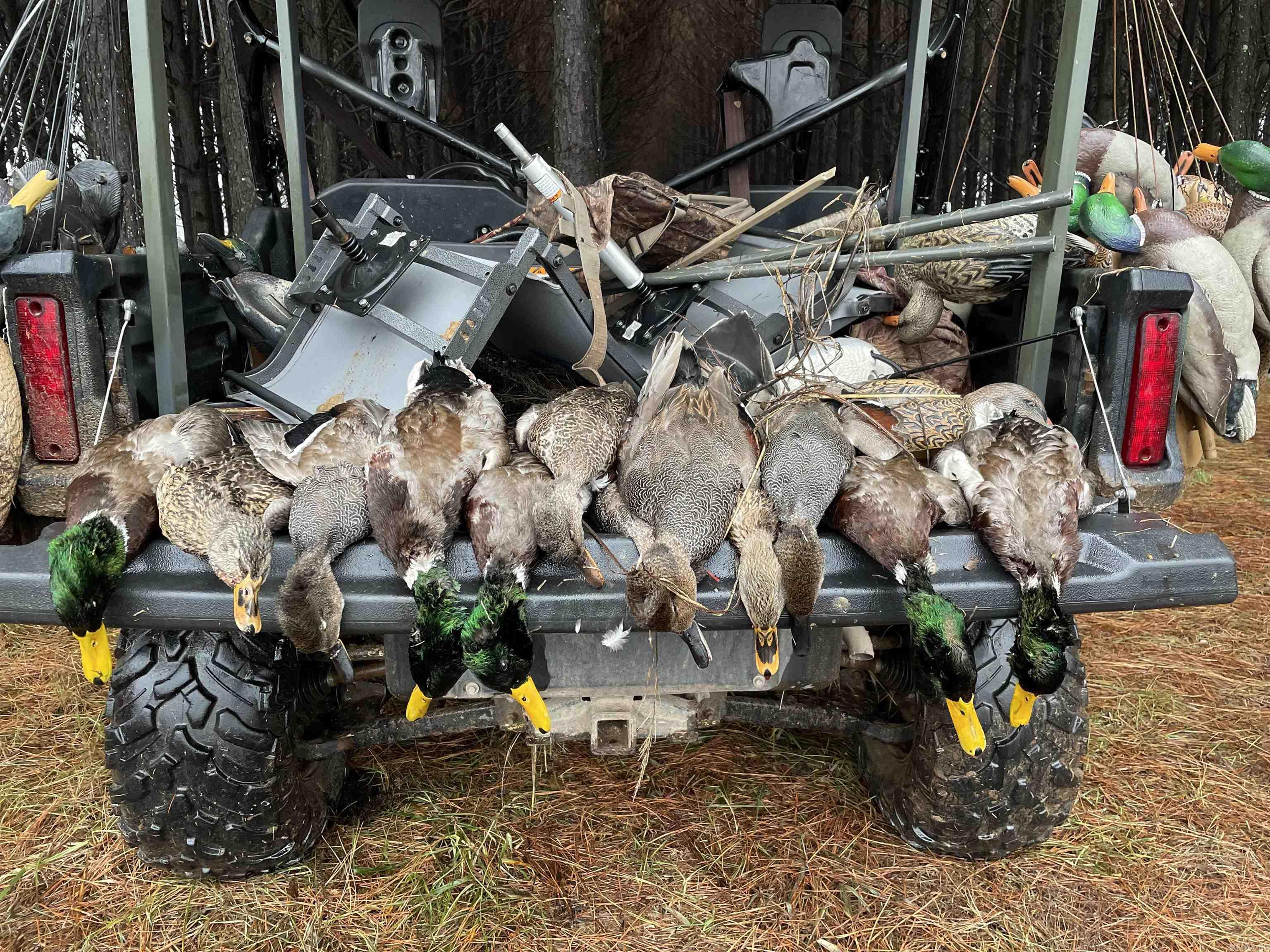 1206 Northcutt  Lonoke, AR