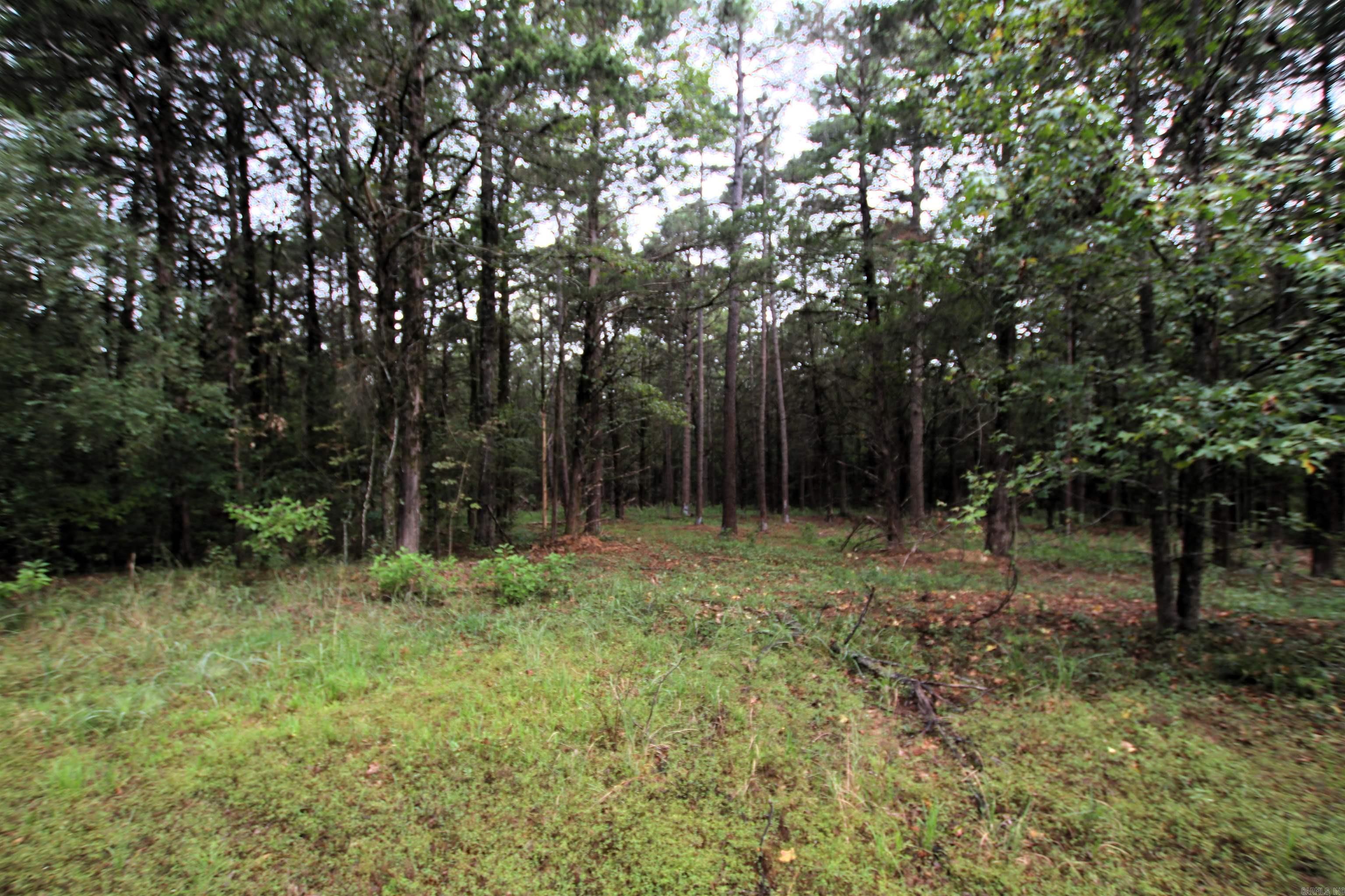 000 Charton  Plumerville, AR