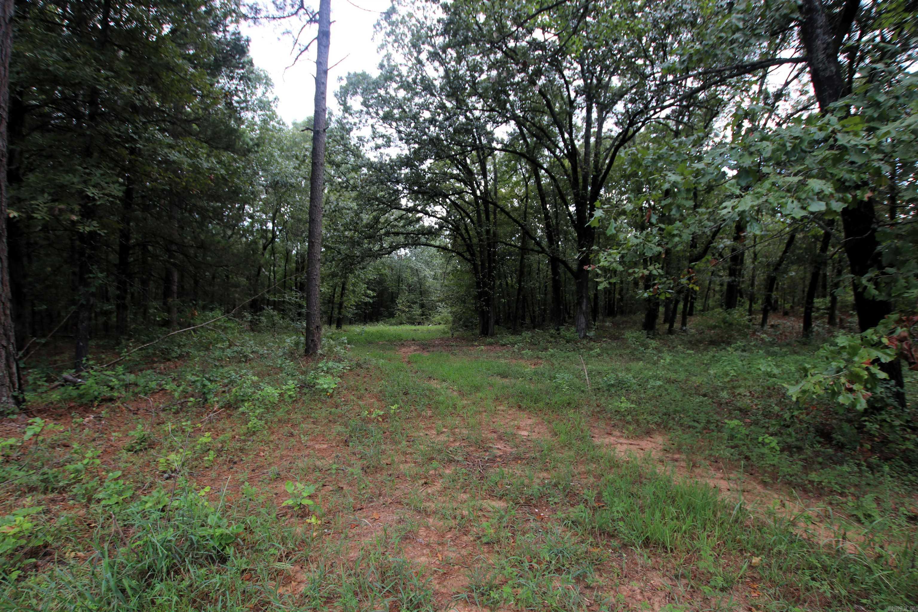 000 Charton  Plumerville, AR