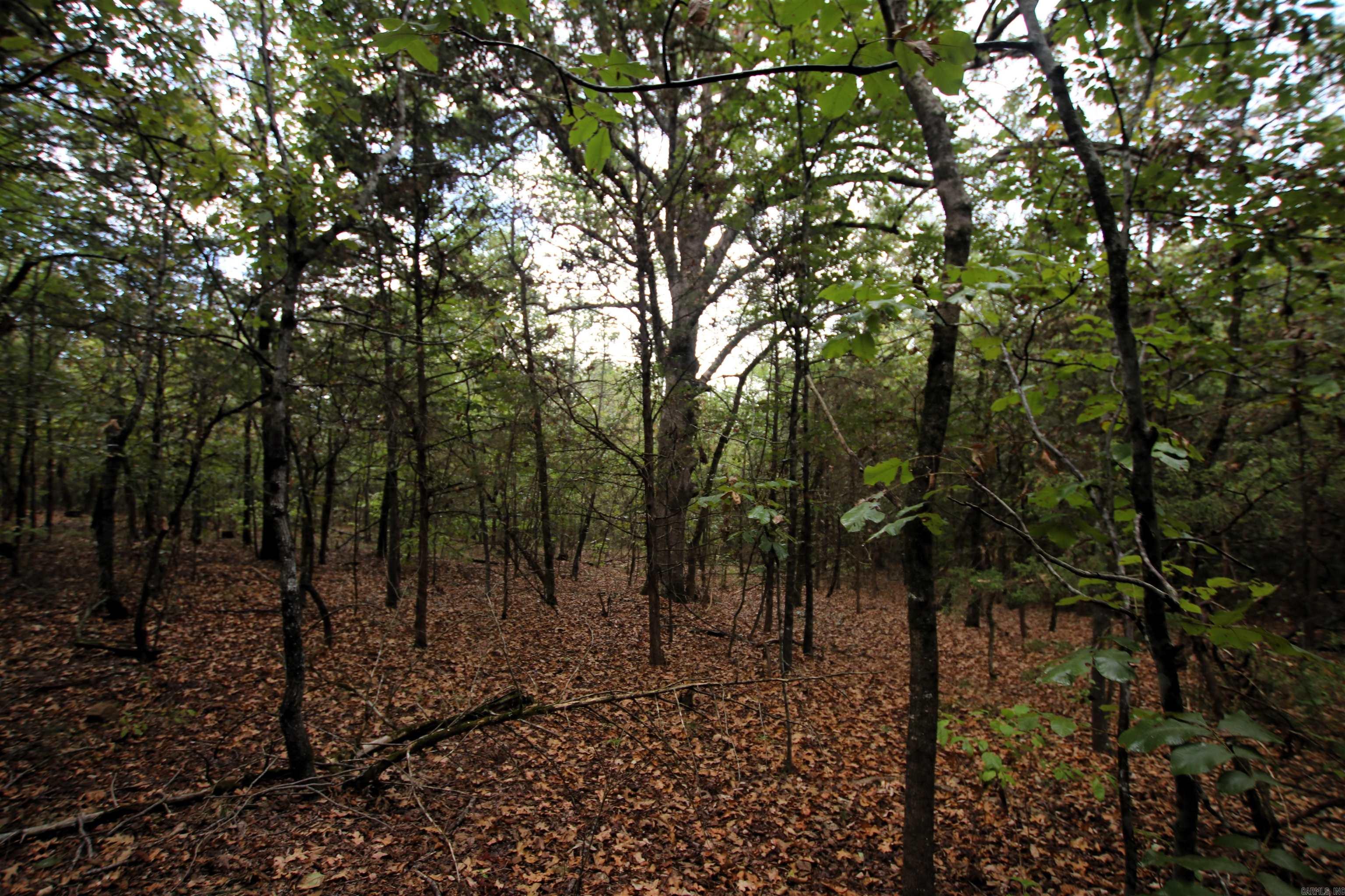 000 Charton  Plumerville, AR