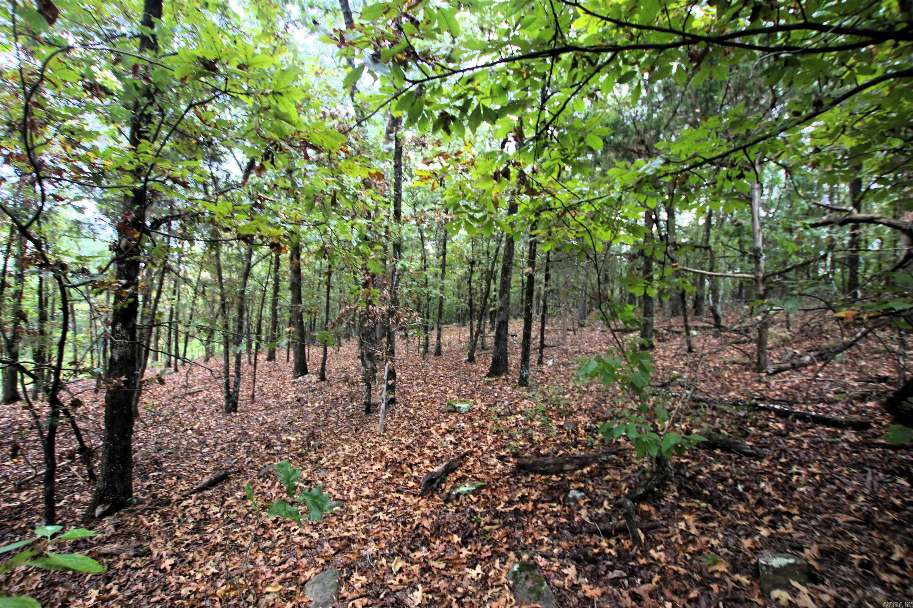 000 Charton  Plumerville, AR