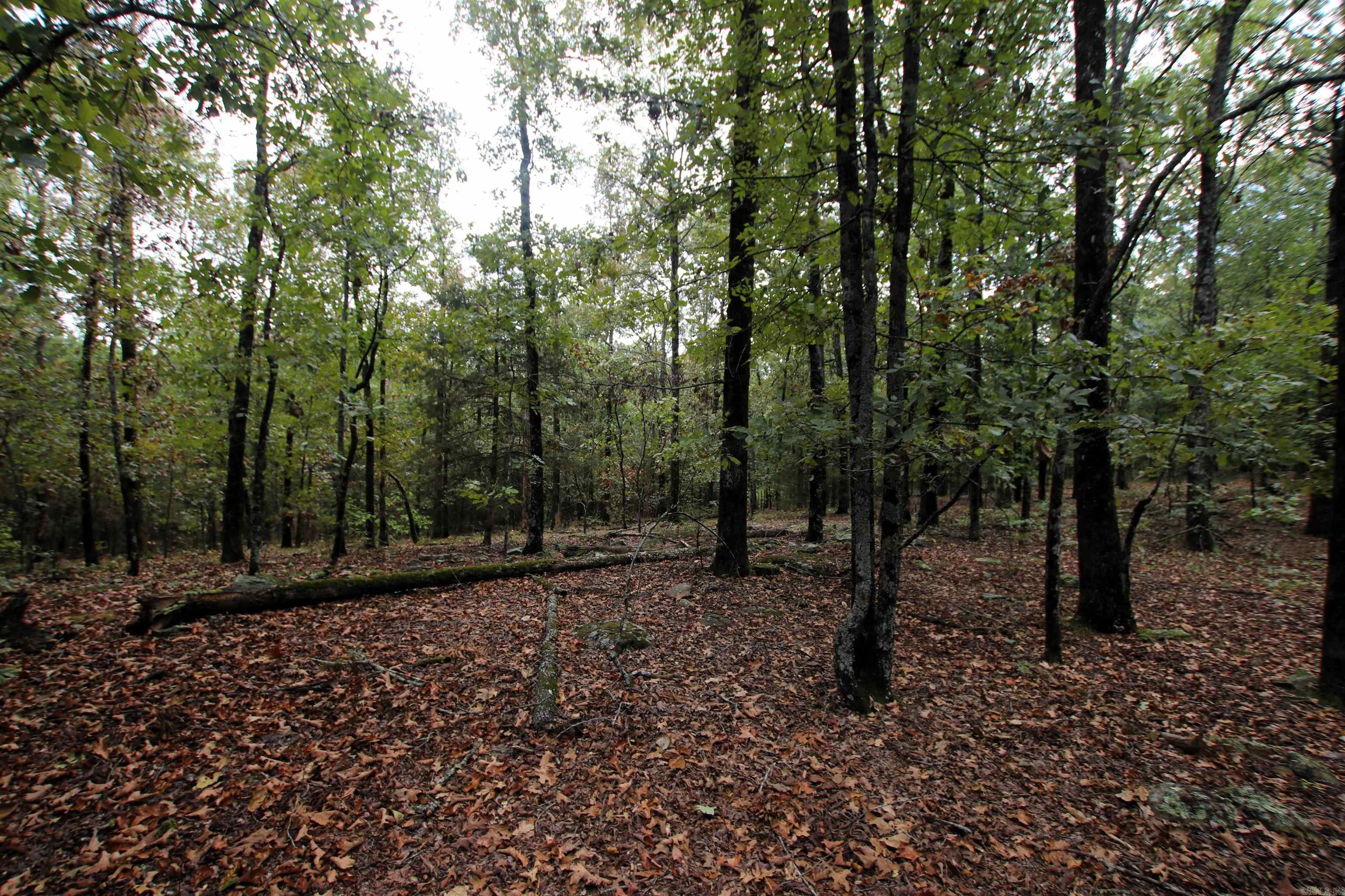000 Charton  Plumerville, AR