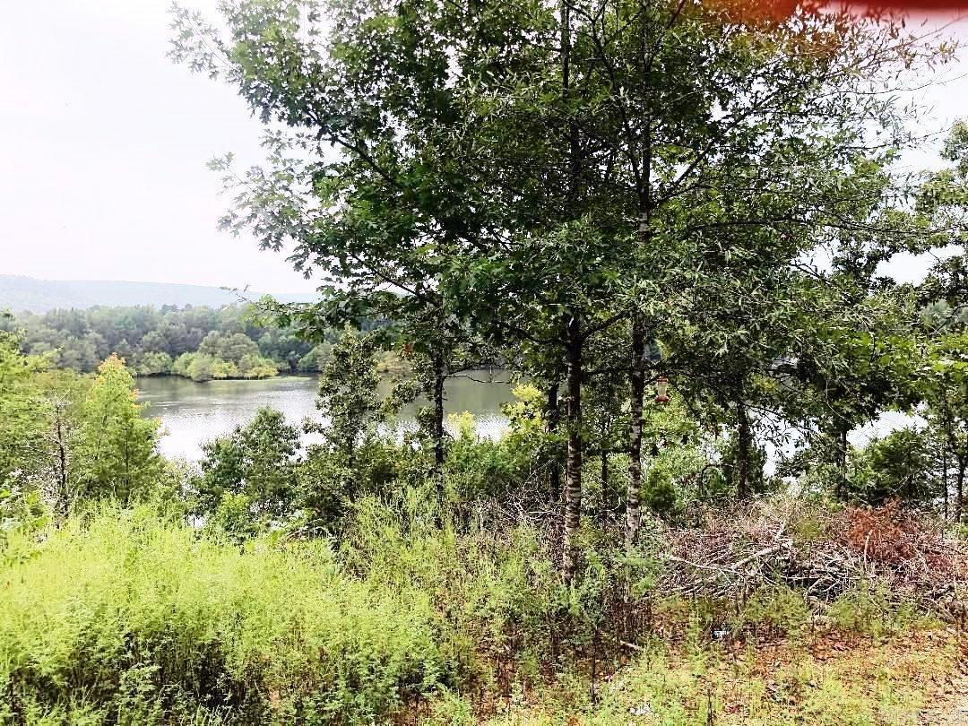00 Eagle Drive  Perryville, AR