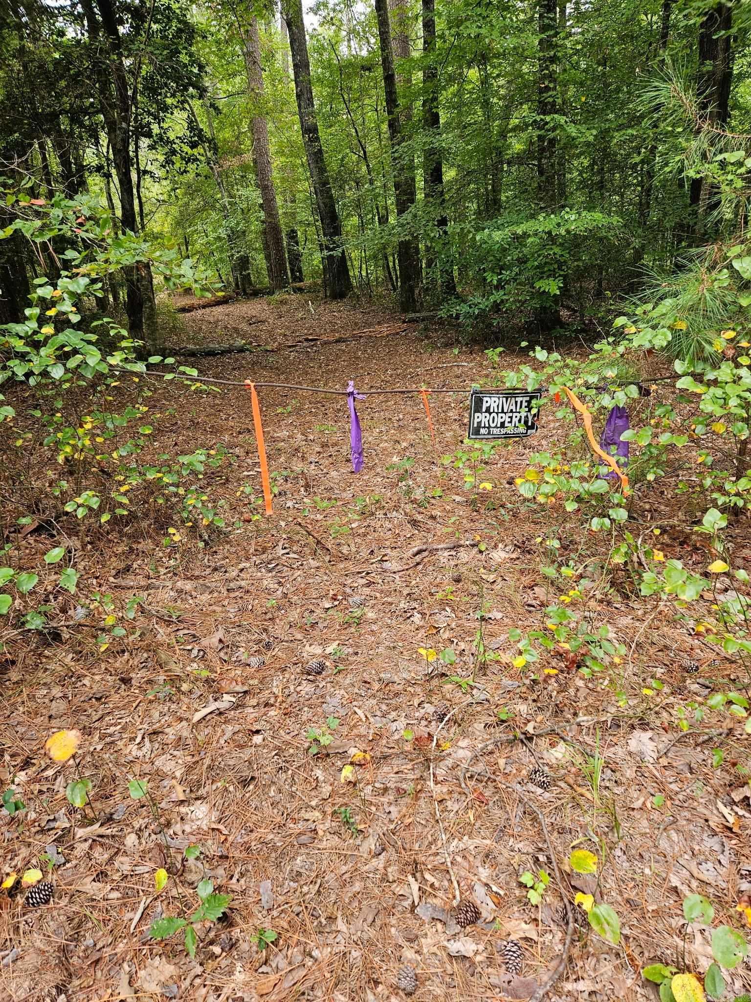 E 28 Acres Dallas 203  Carthage, AR