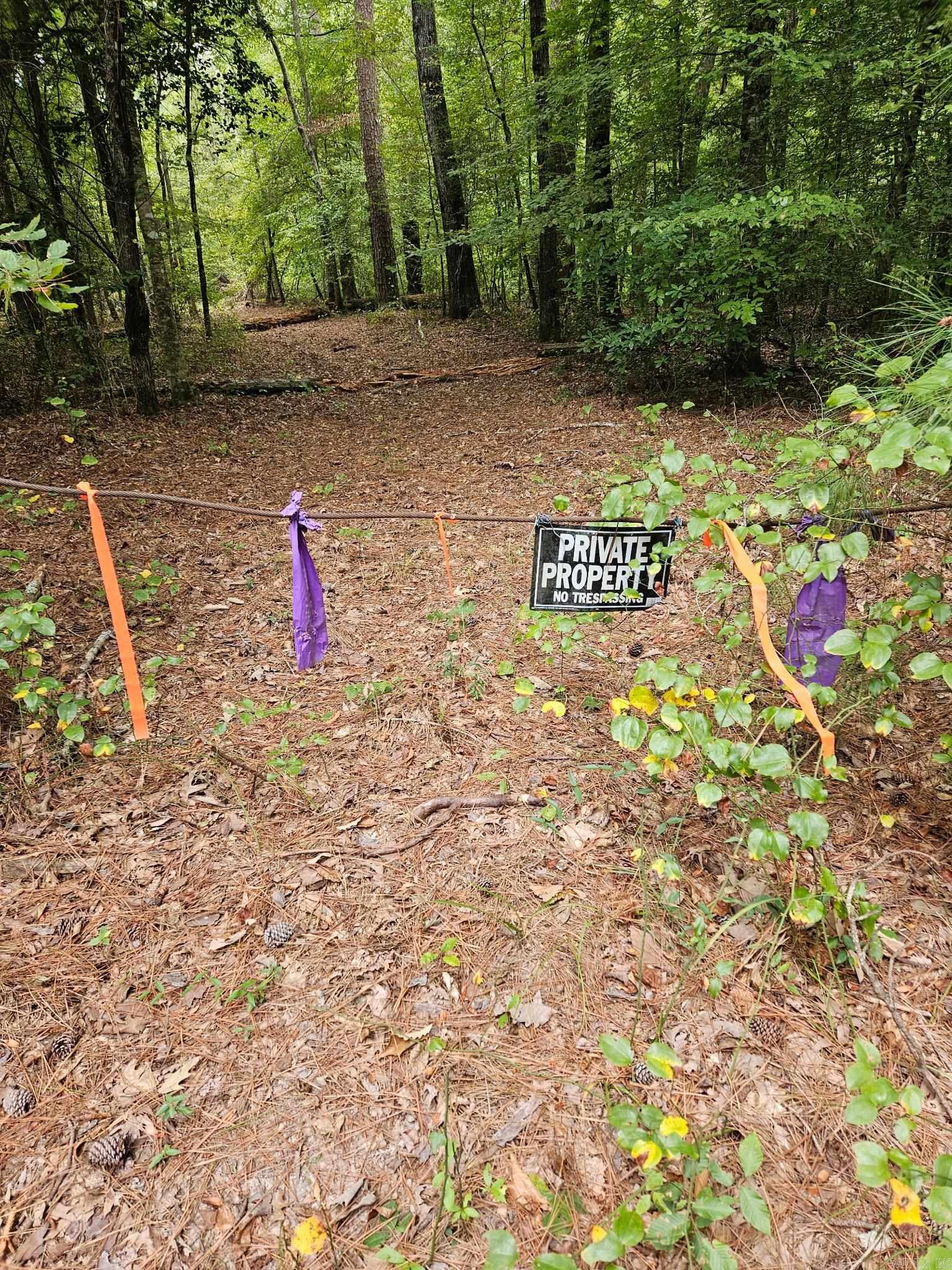 E 28 Acres Dallas 203  Carthage, AR