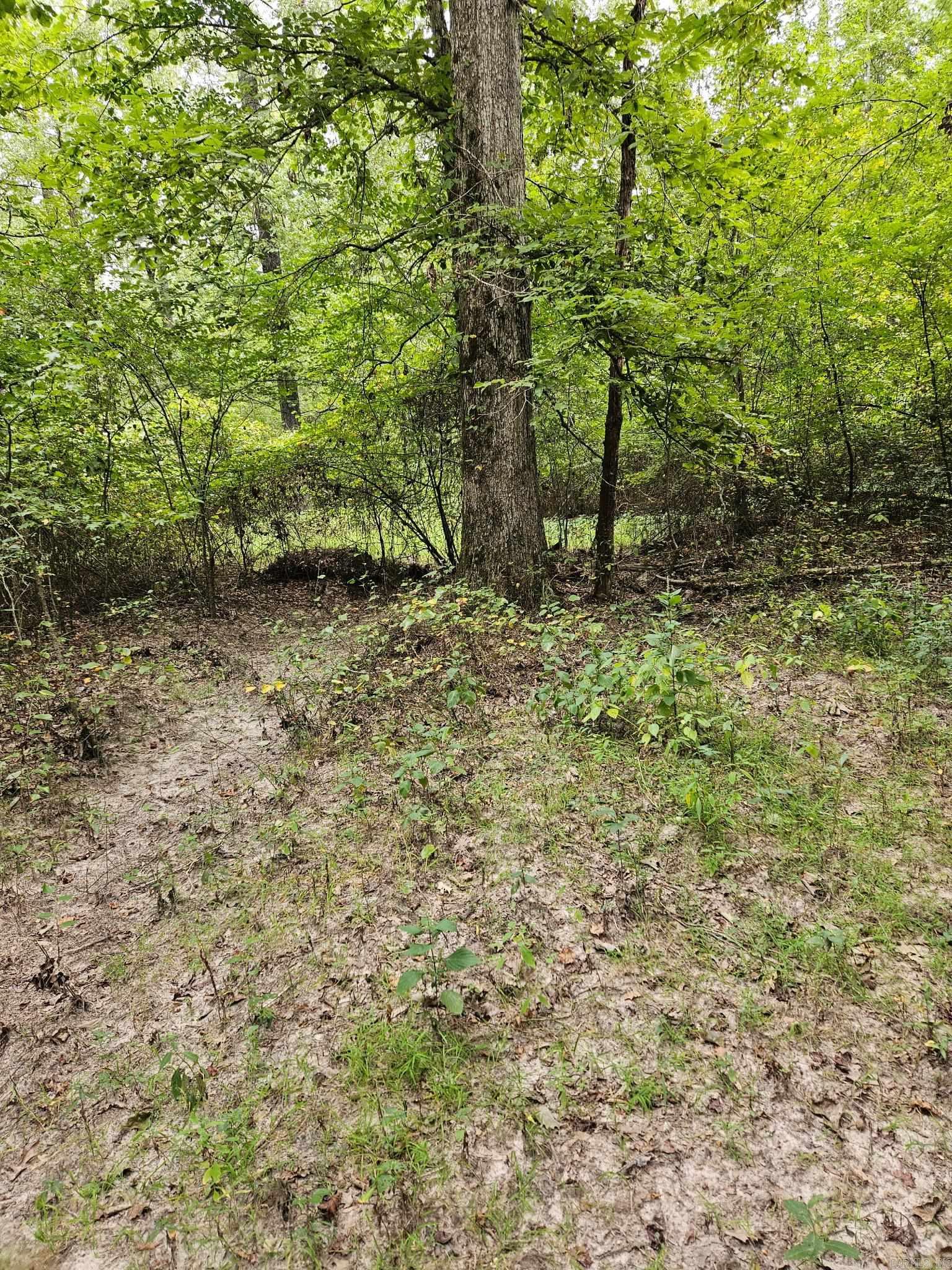 E 28 Acres Dallas 203  Carthage, AR