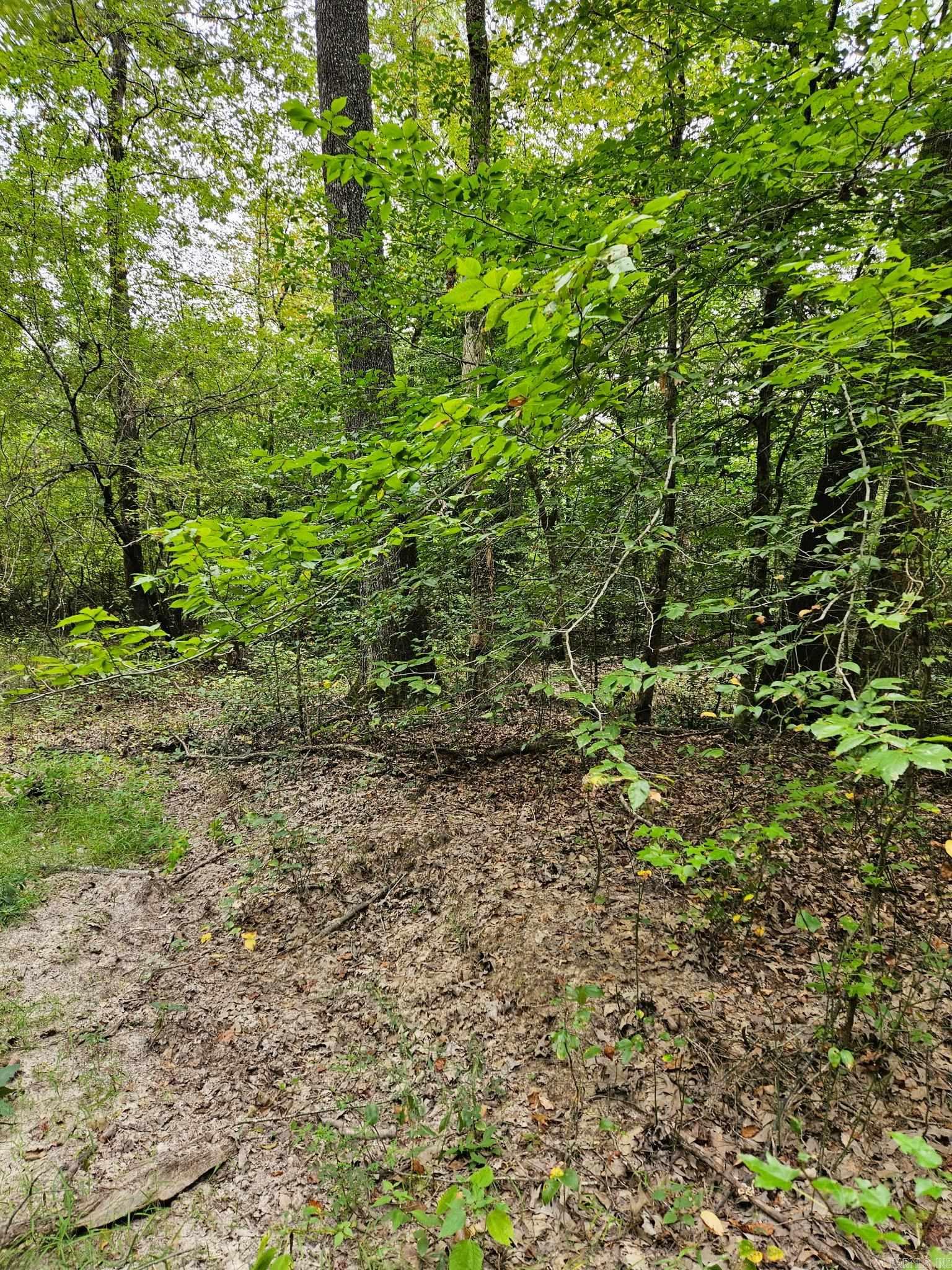 E 28 Acres Dallas 203  Carthage, AR
