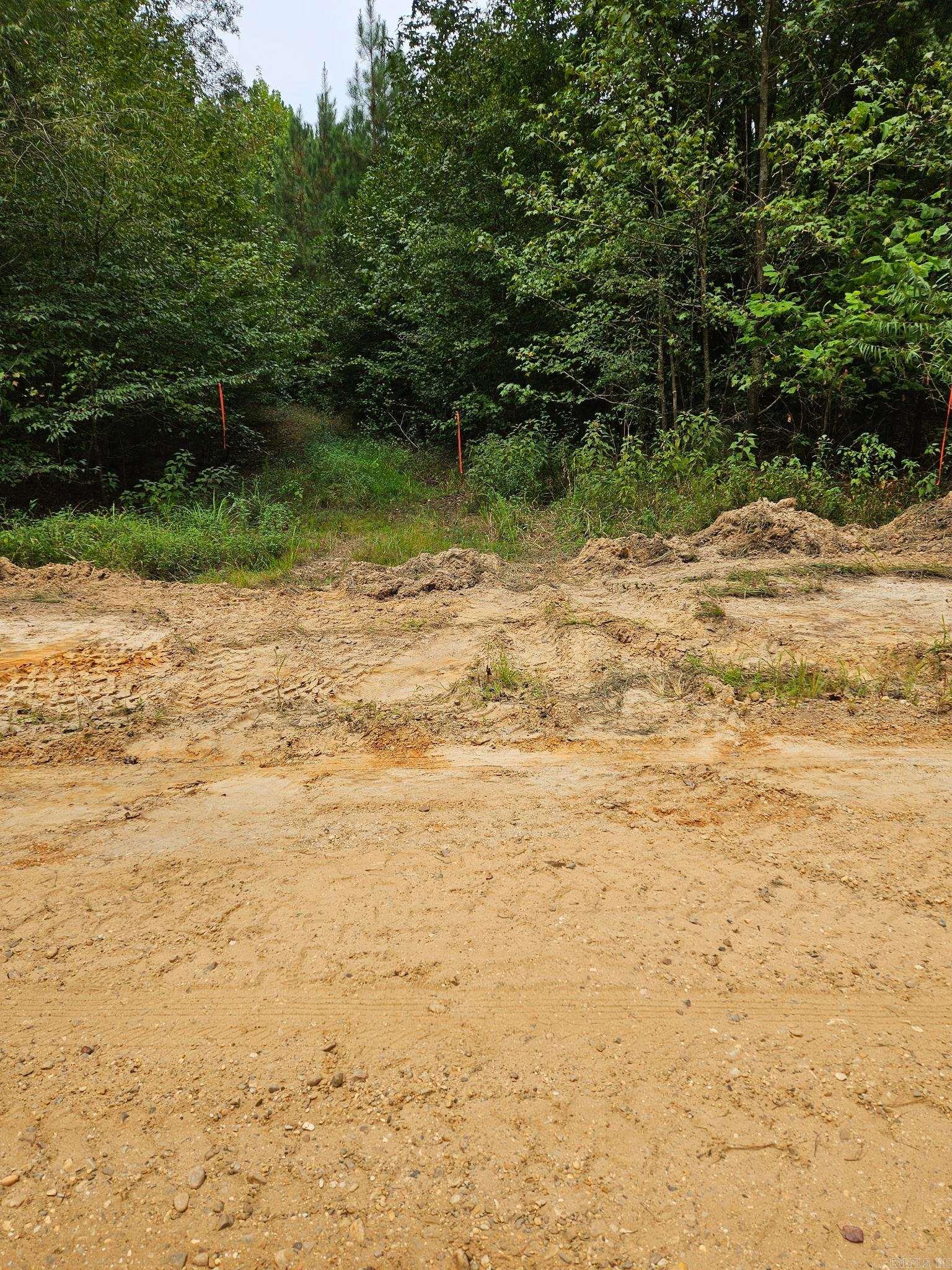 E 28 Acres Dallas 203  Carthage, AR