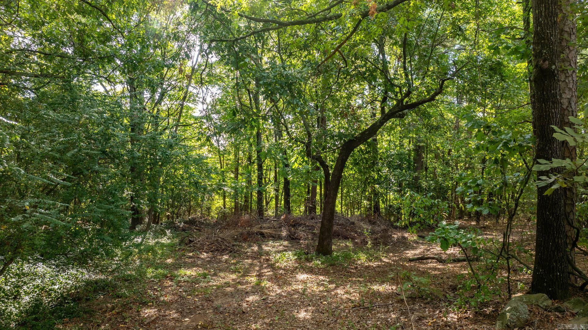 13100 Kanis  Little Rock, AR