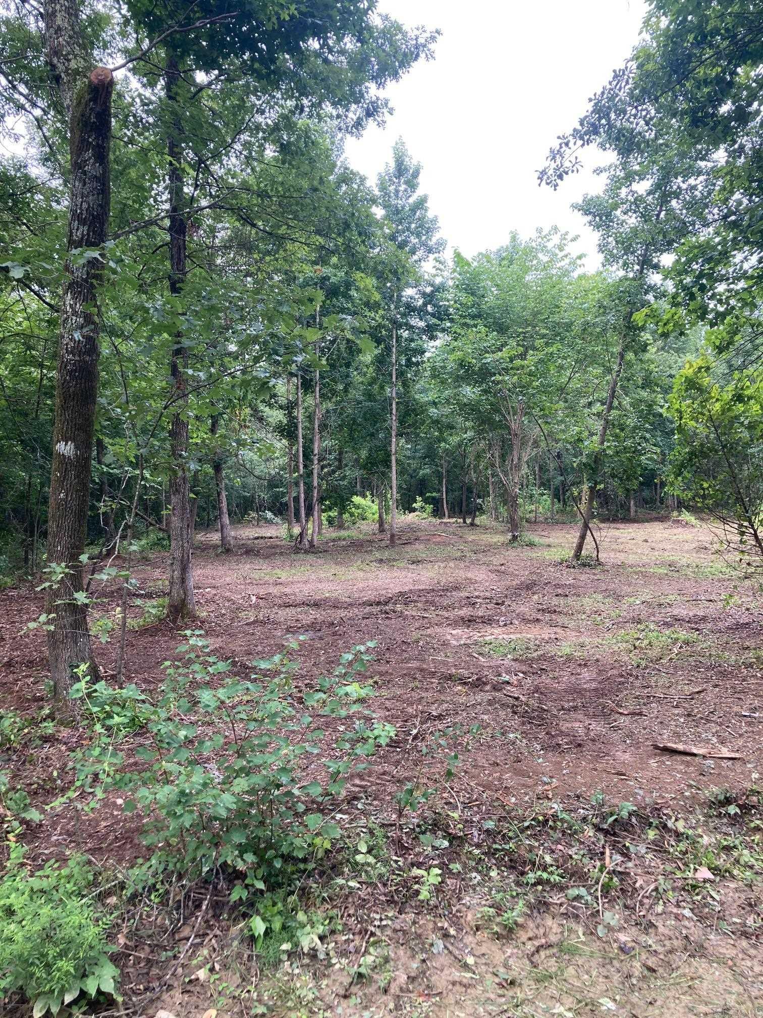 00 Cypress Loop  Vilonia, AR