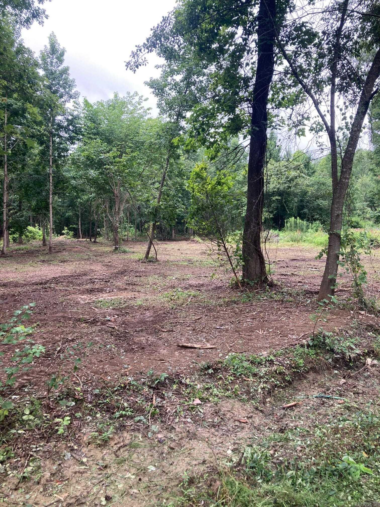 00 Cypress Loop  Vilonia, AR