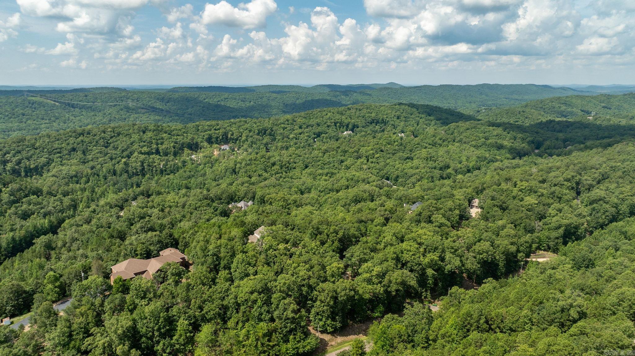 46 Bald Eagle  Paron, AR