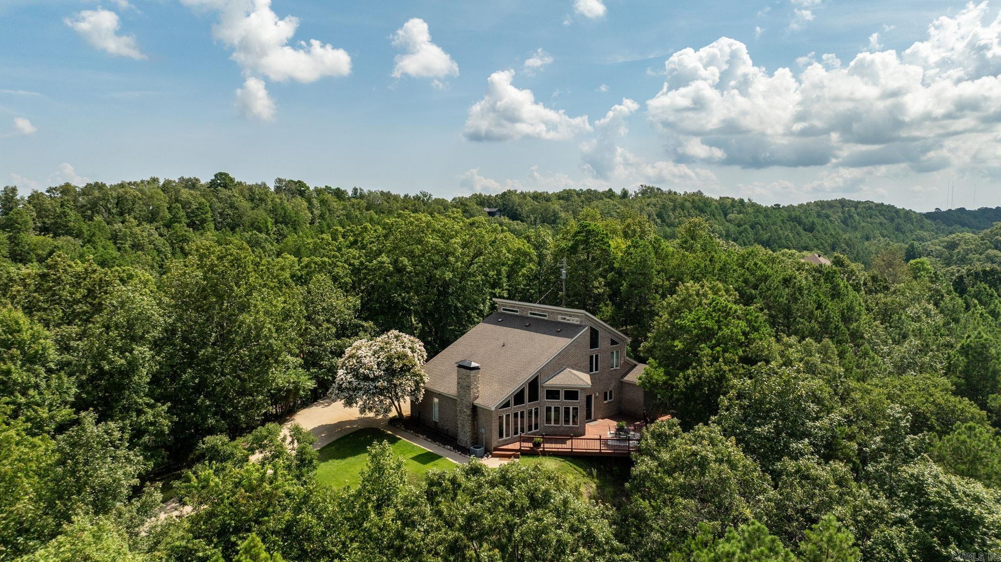 46 Bald Eagle  Paron, AR