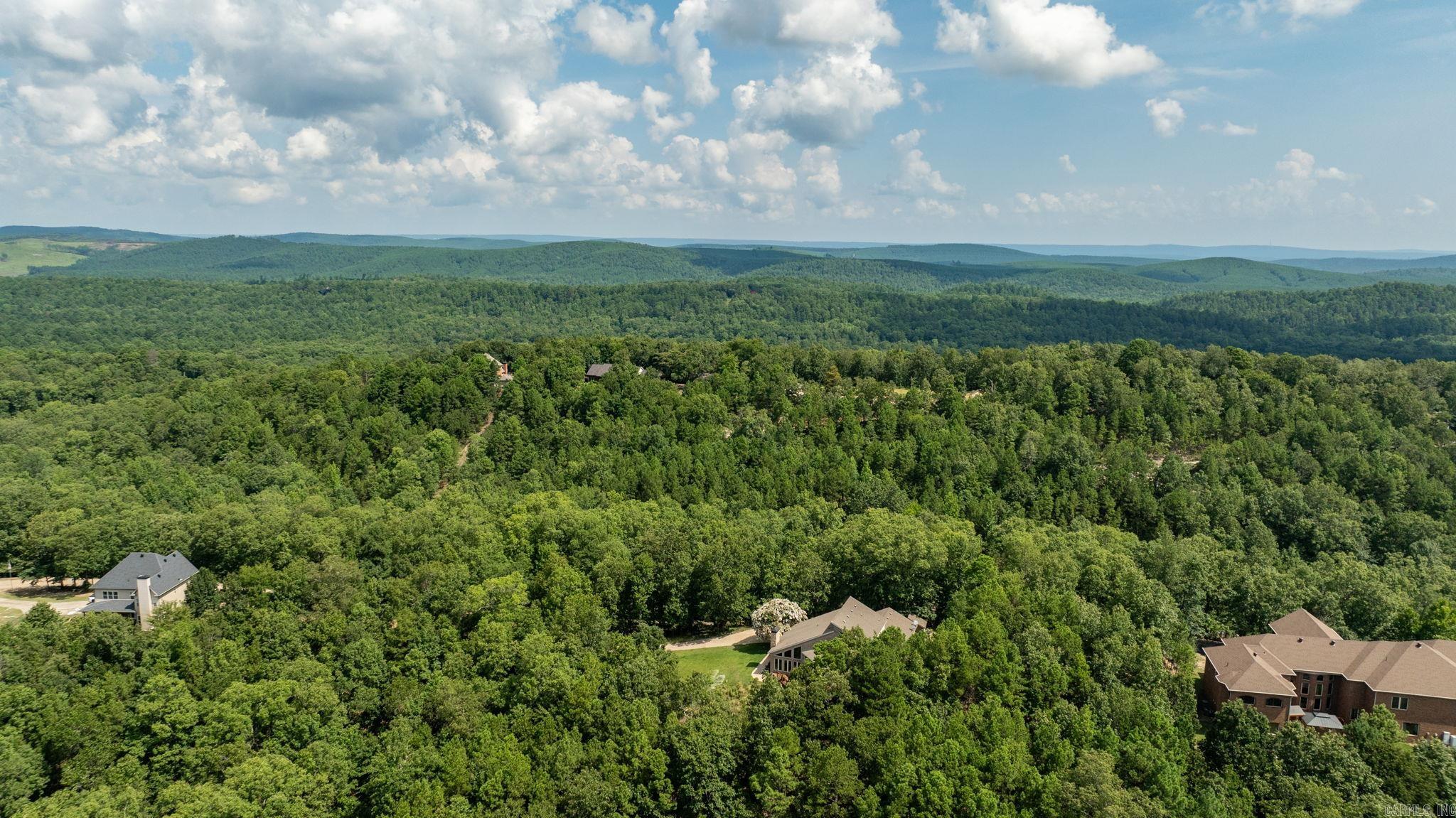 46 Bald Eagle  Paron, AR