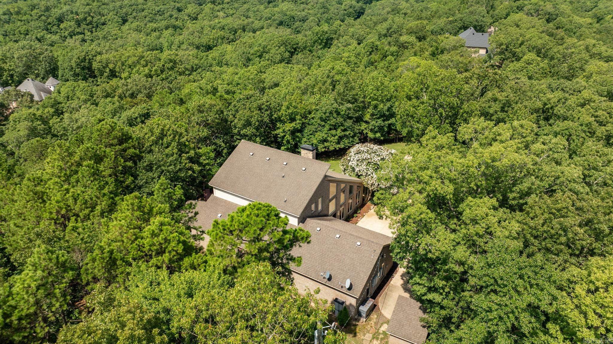 46 Bald Eagle  Paron, AR