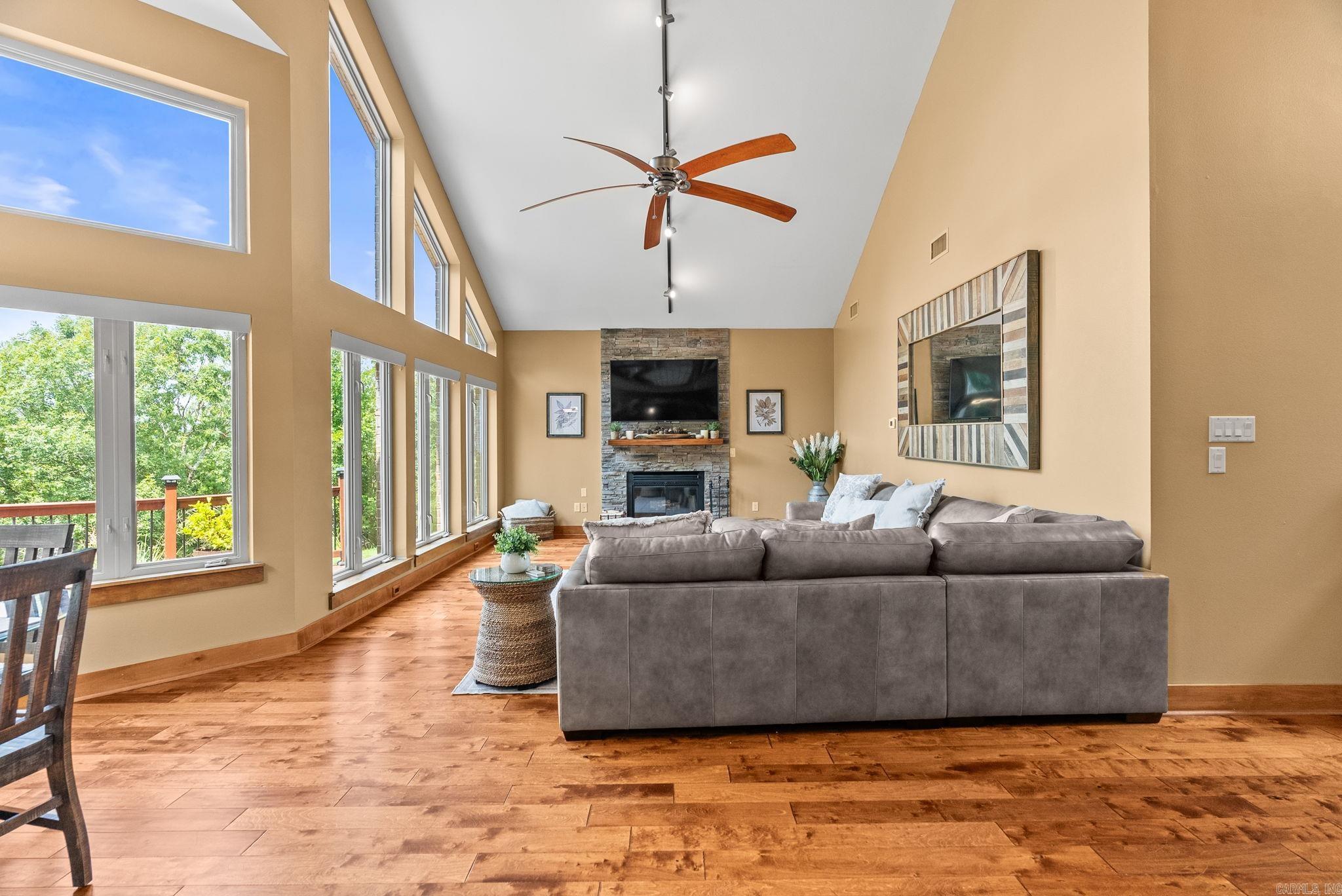 46 Bald Eagle  Paron, AR