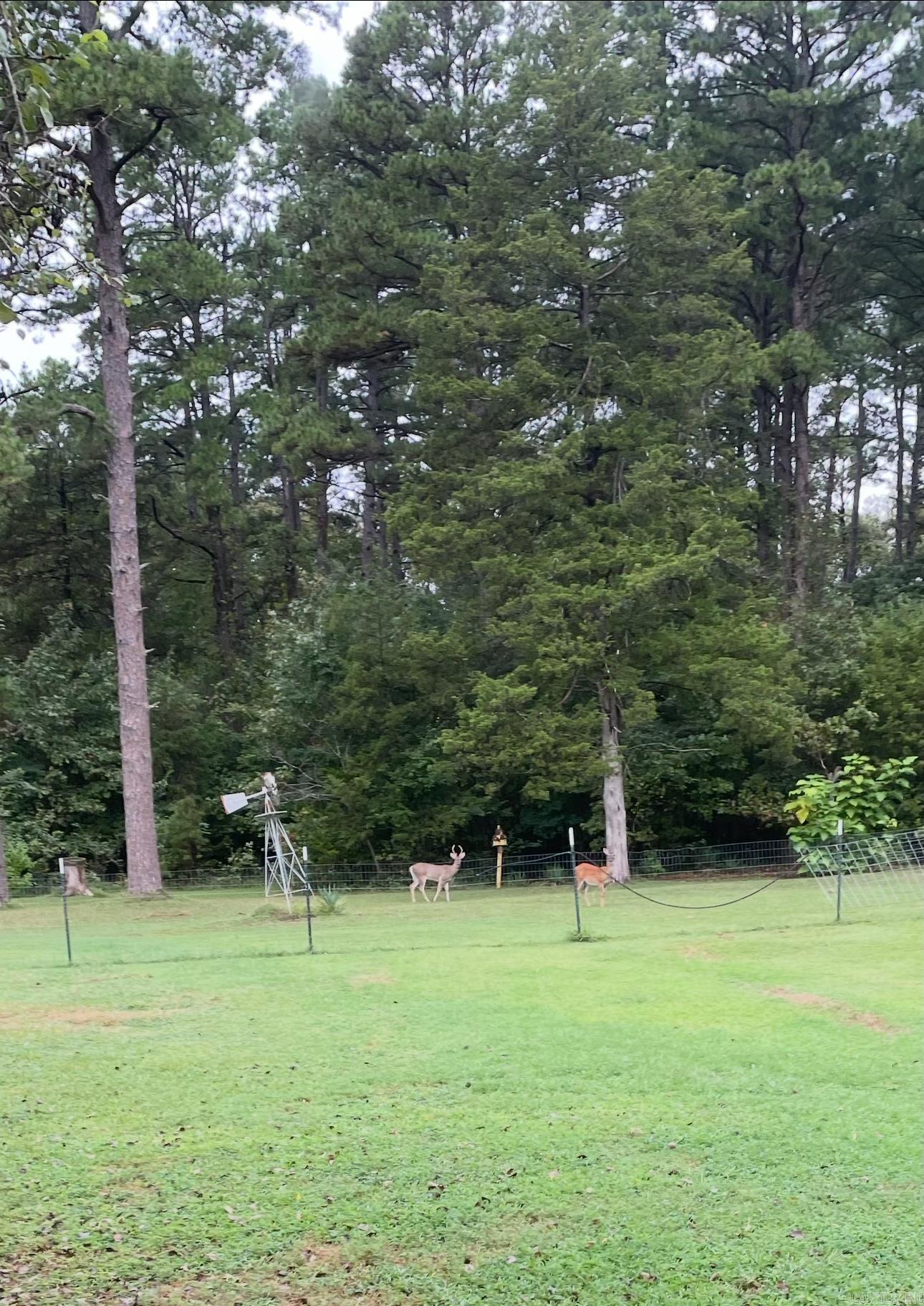 324 Tortoise Bay  Higden, AR