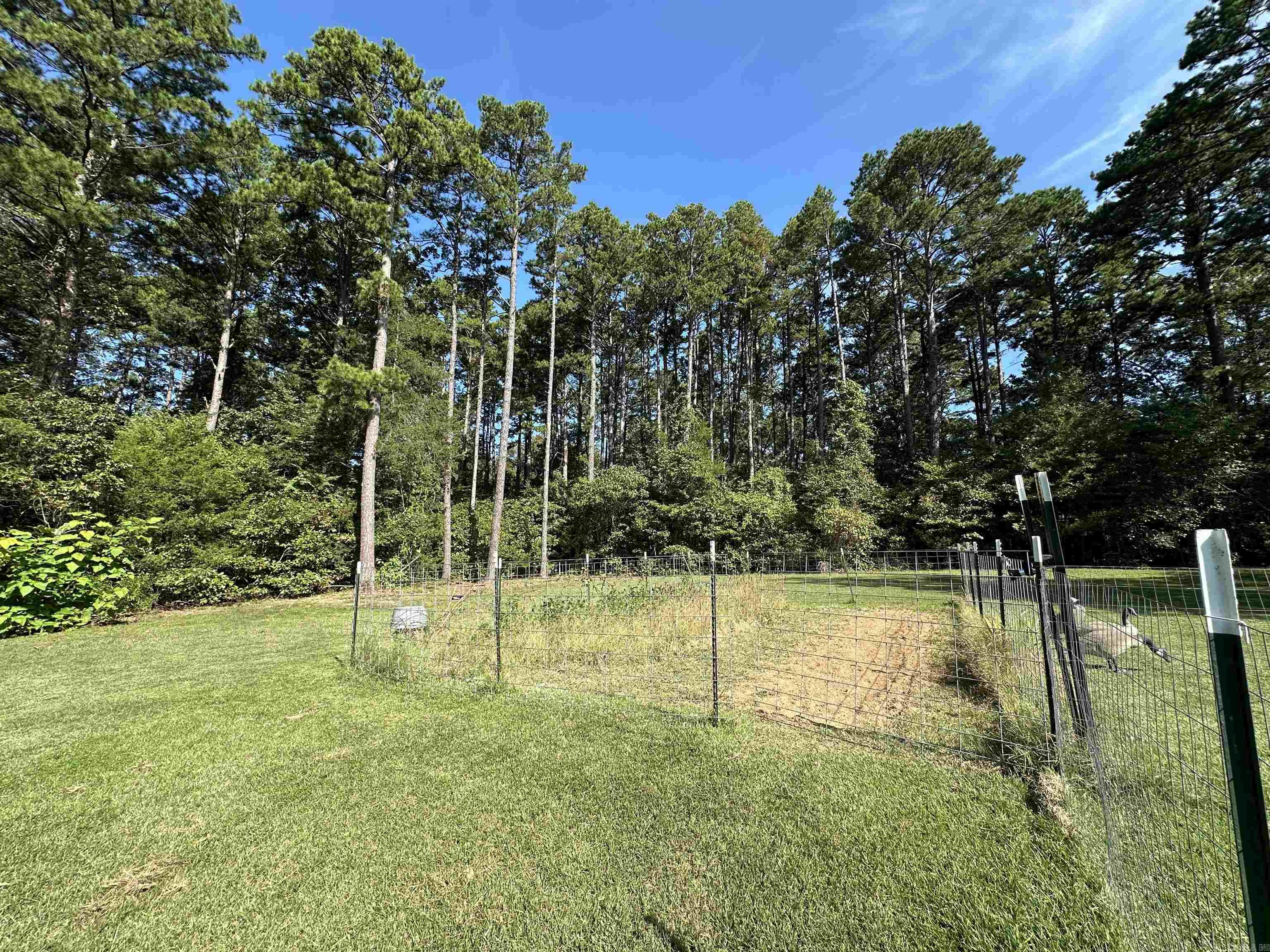 324 Tortoise Bay  Higden, AR