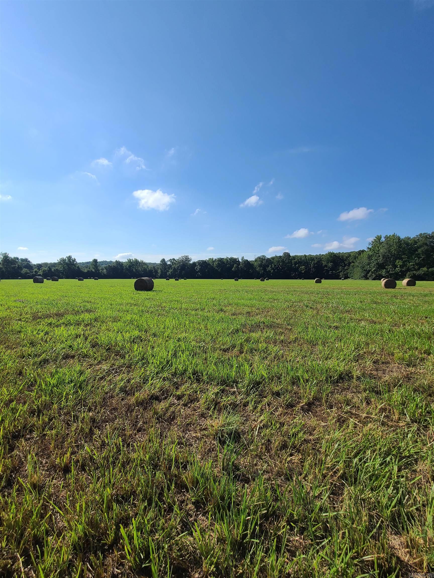 1269 Blackland  Oil Trough, AR