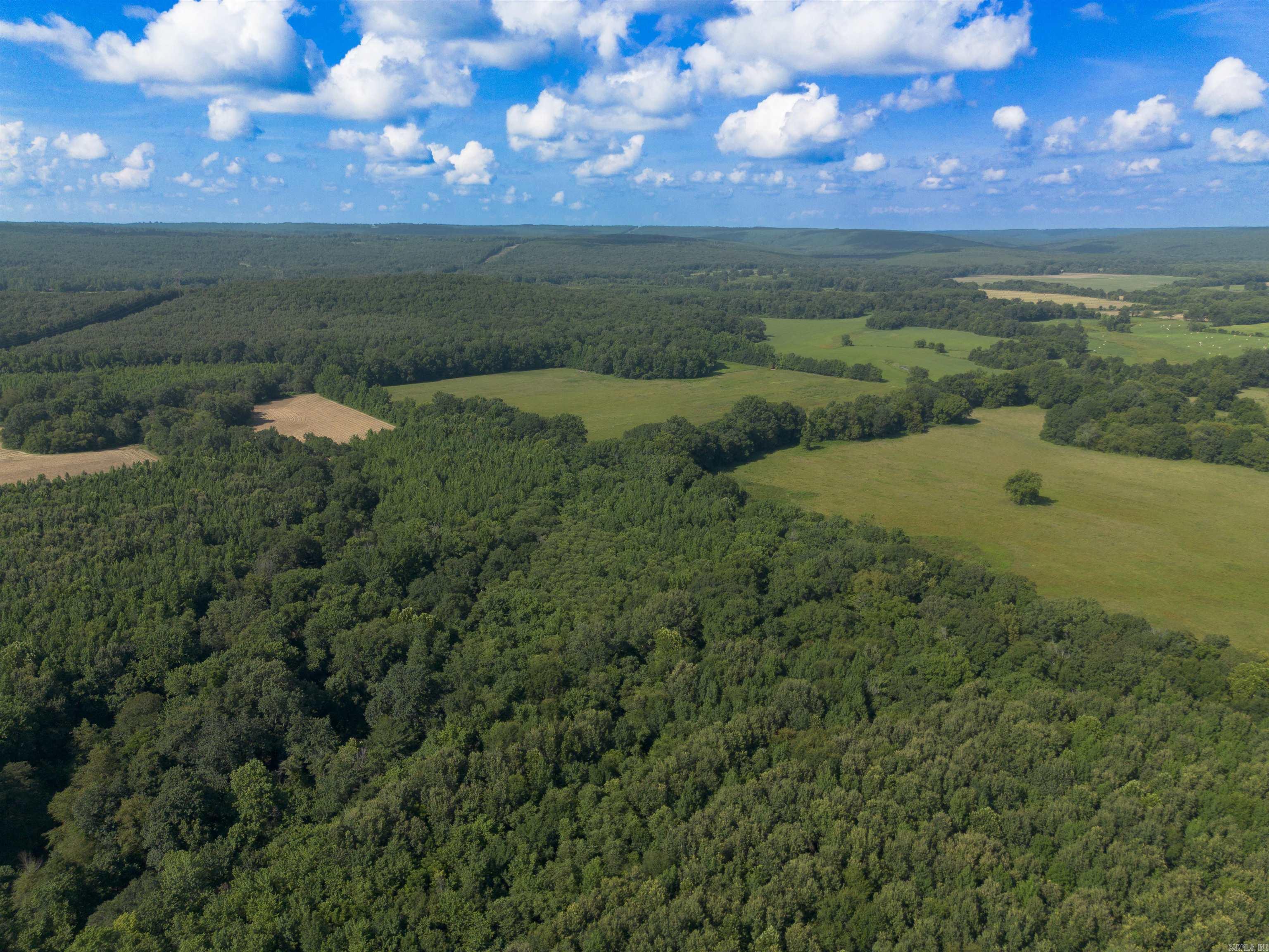 1269 Blackland  Oil Trough, AR
