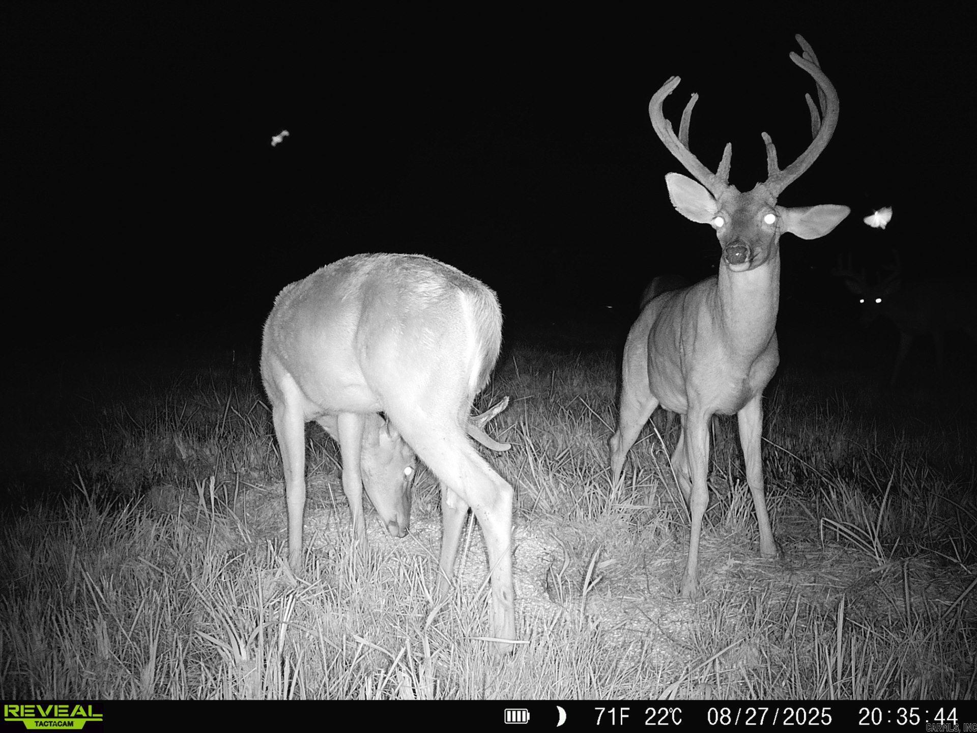 1269 Blackland  Oil Trough, AR
