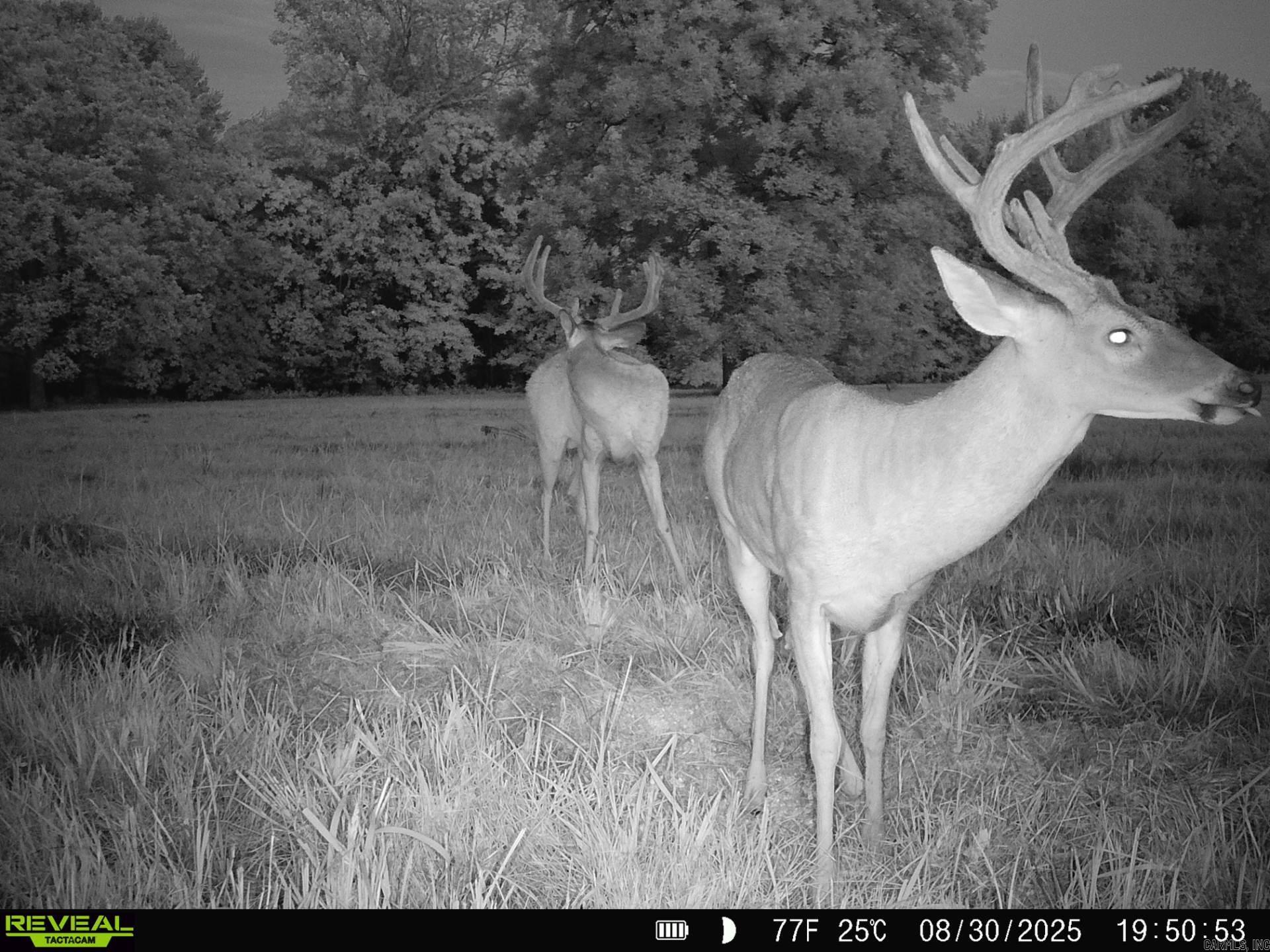 1269 Blackland  Oil Trough, AR