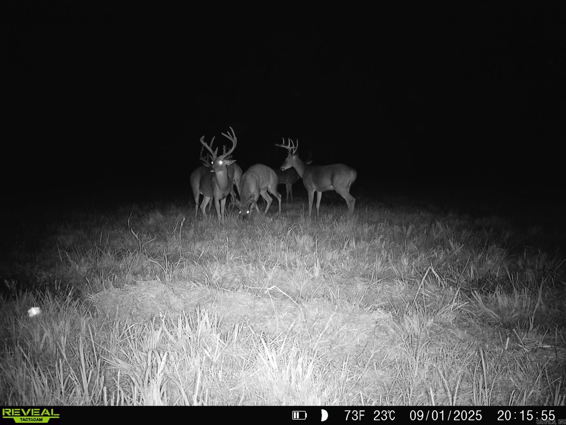 1269 Blackland  Oil Trough, AR