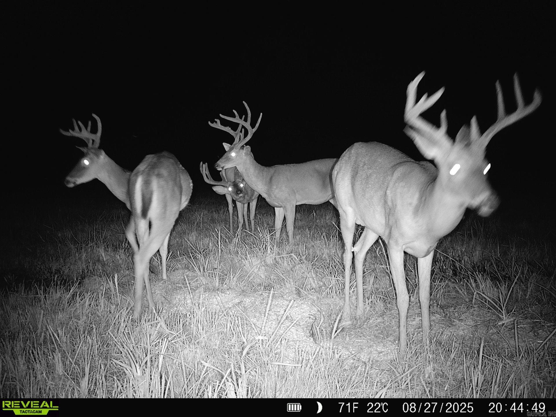 1269 Blackland  Oil Trough, AR