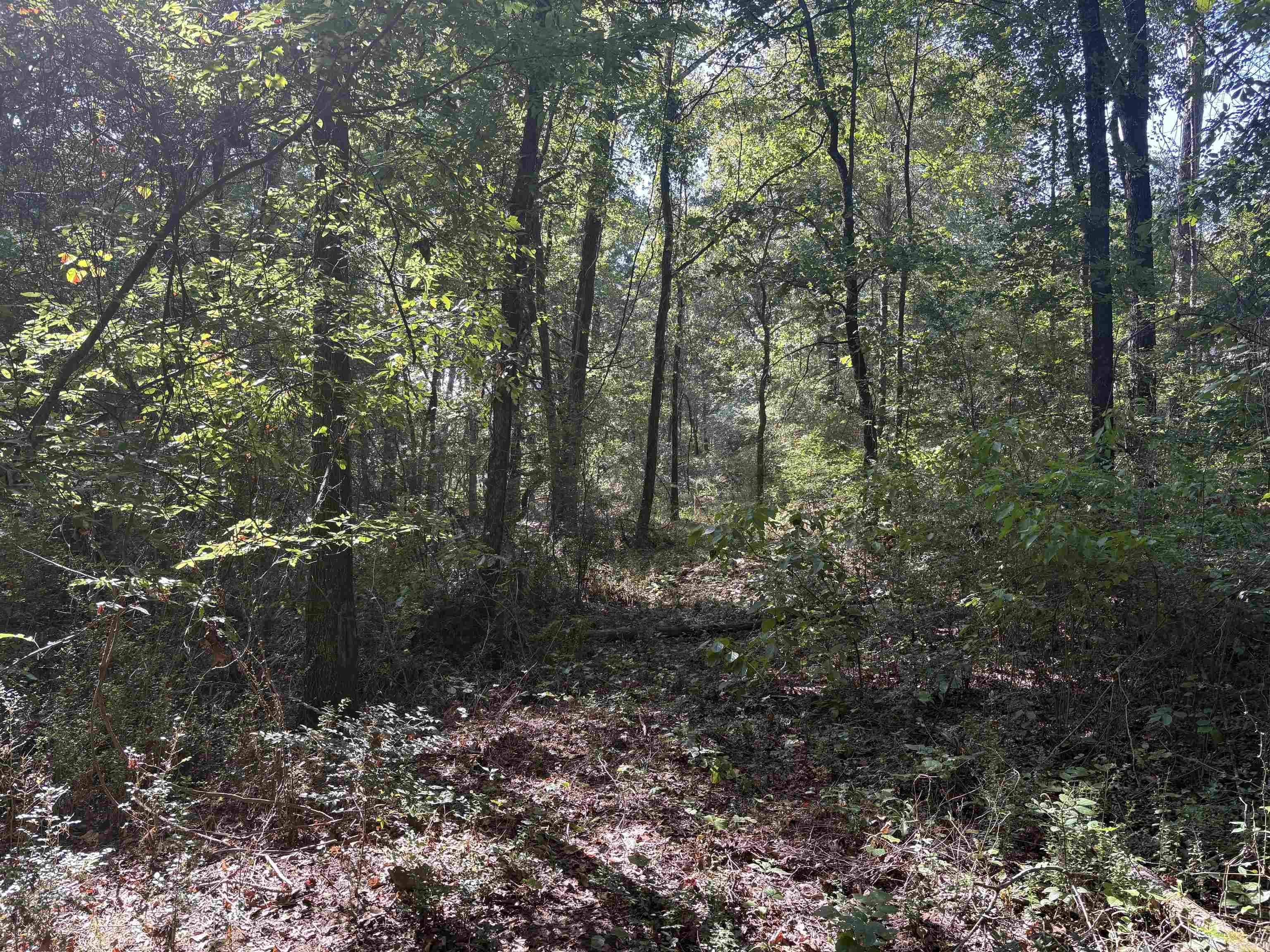 000 Edgewater  Heber Springs, AR