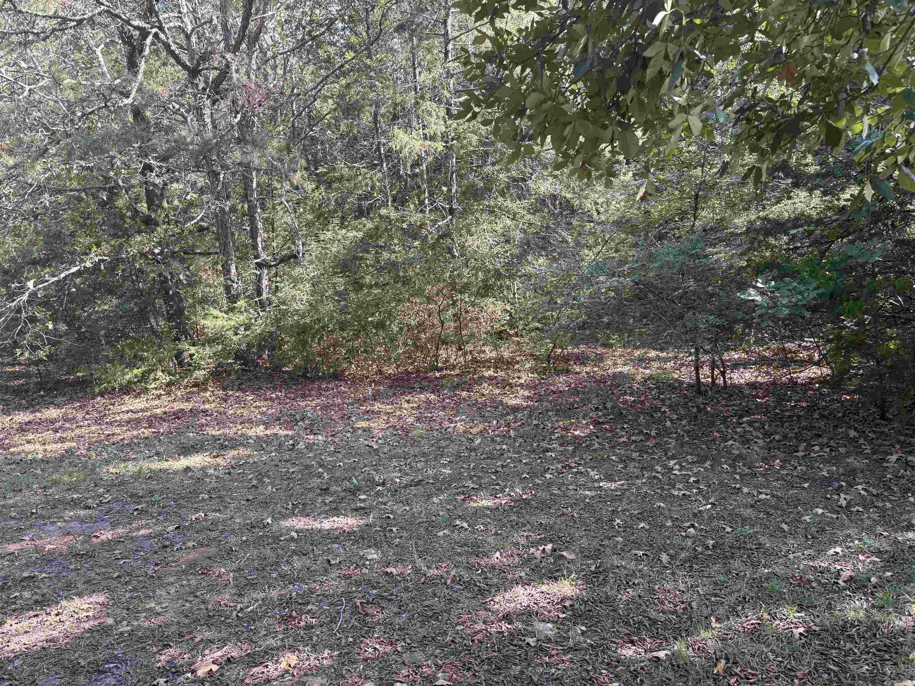 000 Edgewater  Heber Springs, AR