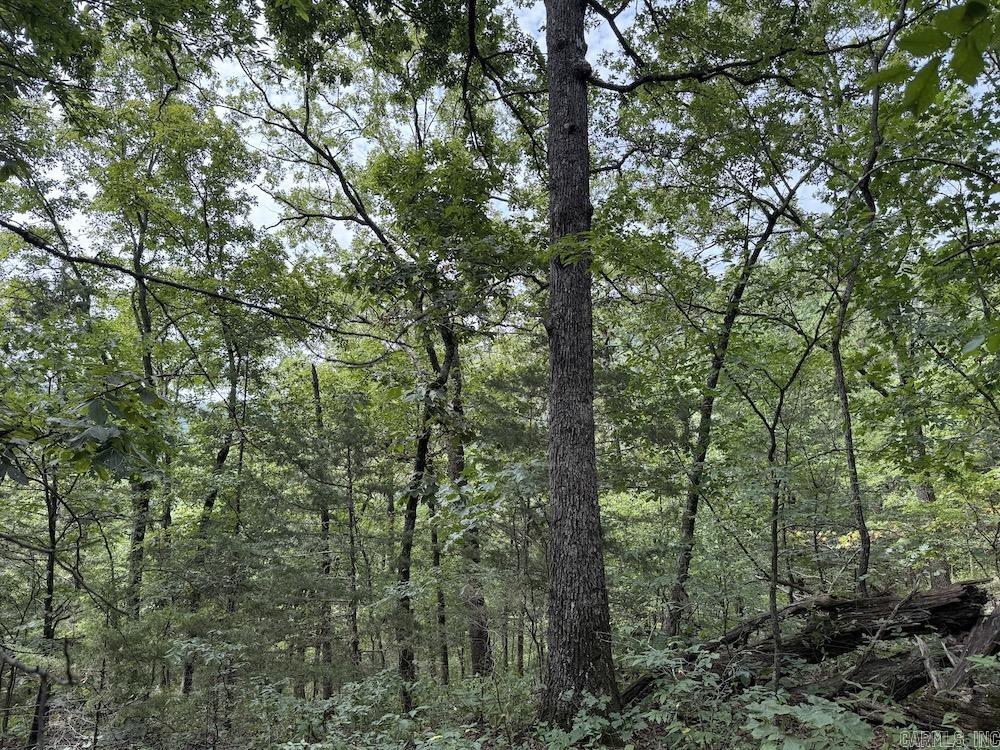 Tract 7 Terrapin Rd  Harrison, AR