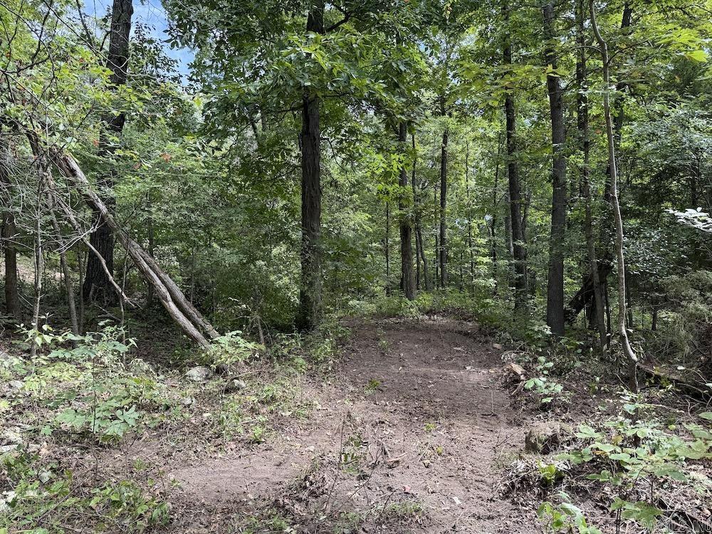 Tract 7 Terrapin Rd  Harrison, AR