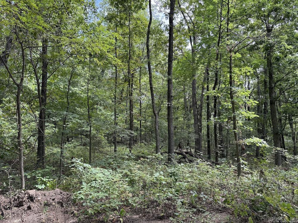 Tract 7 Terrapin Rd  Harrison, AR