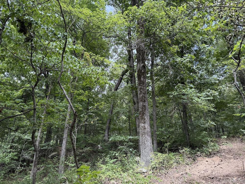 Tract 7 Terrapin Rd  Harrison, AR