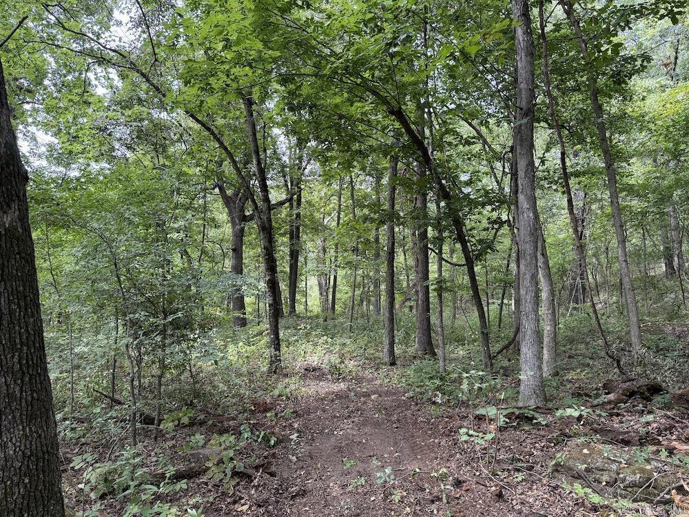 Tract 7 Terrapin Rd  Harrison, AR