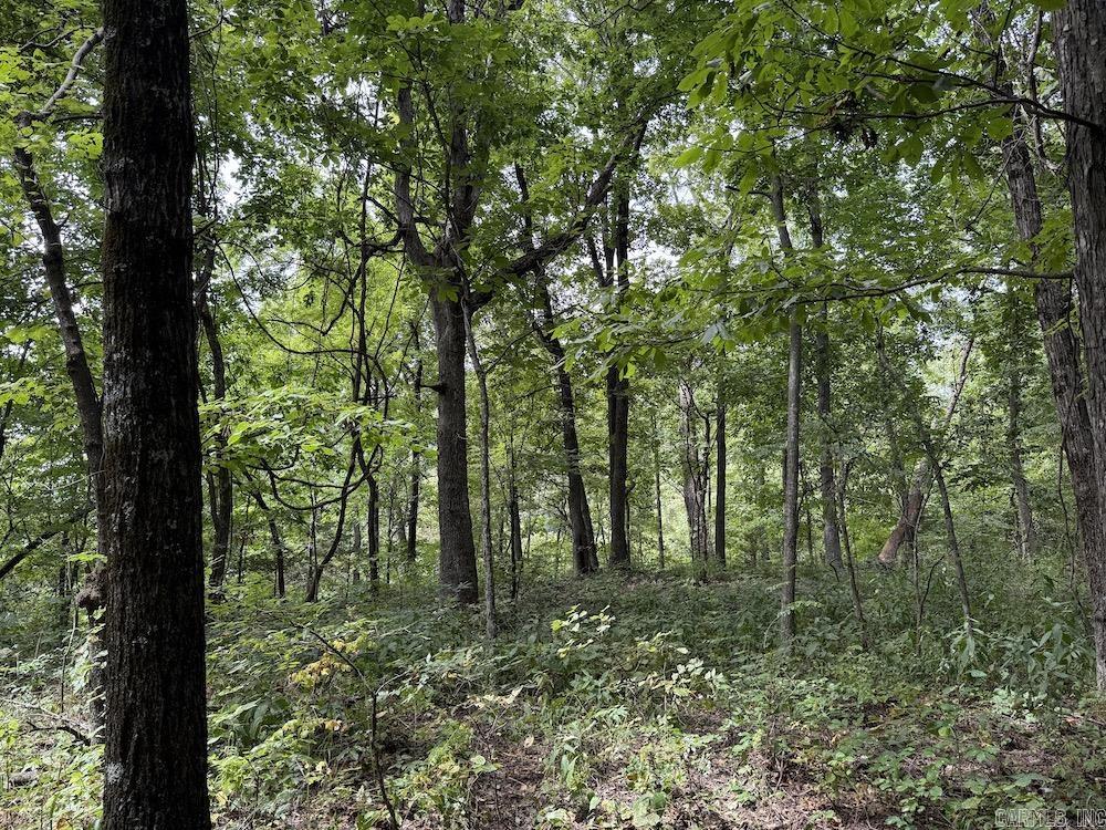 Tract 7 Terrapin Rd  Harrison, AR