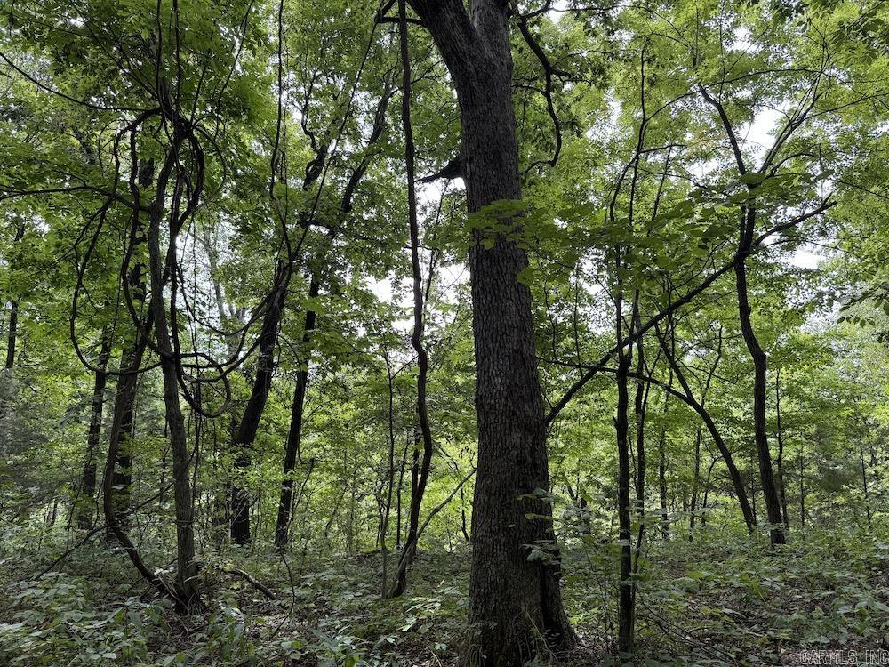 Tract 7 Terrapin Rd  Harrison, AR