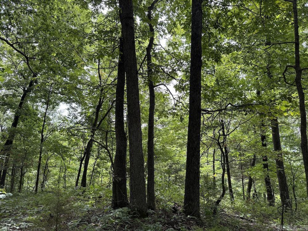 Tract 7 Terrapin Rd  Harrison, AR